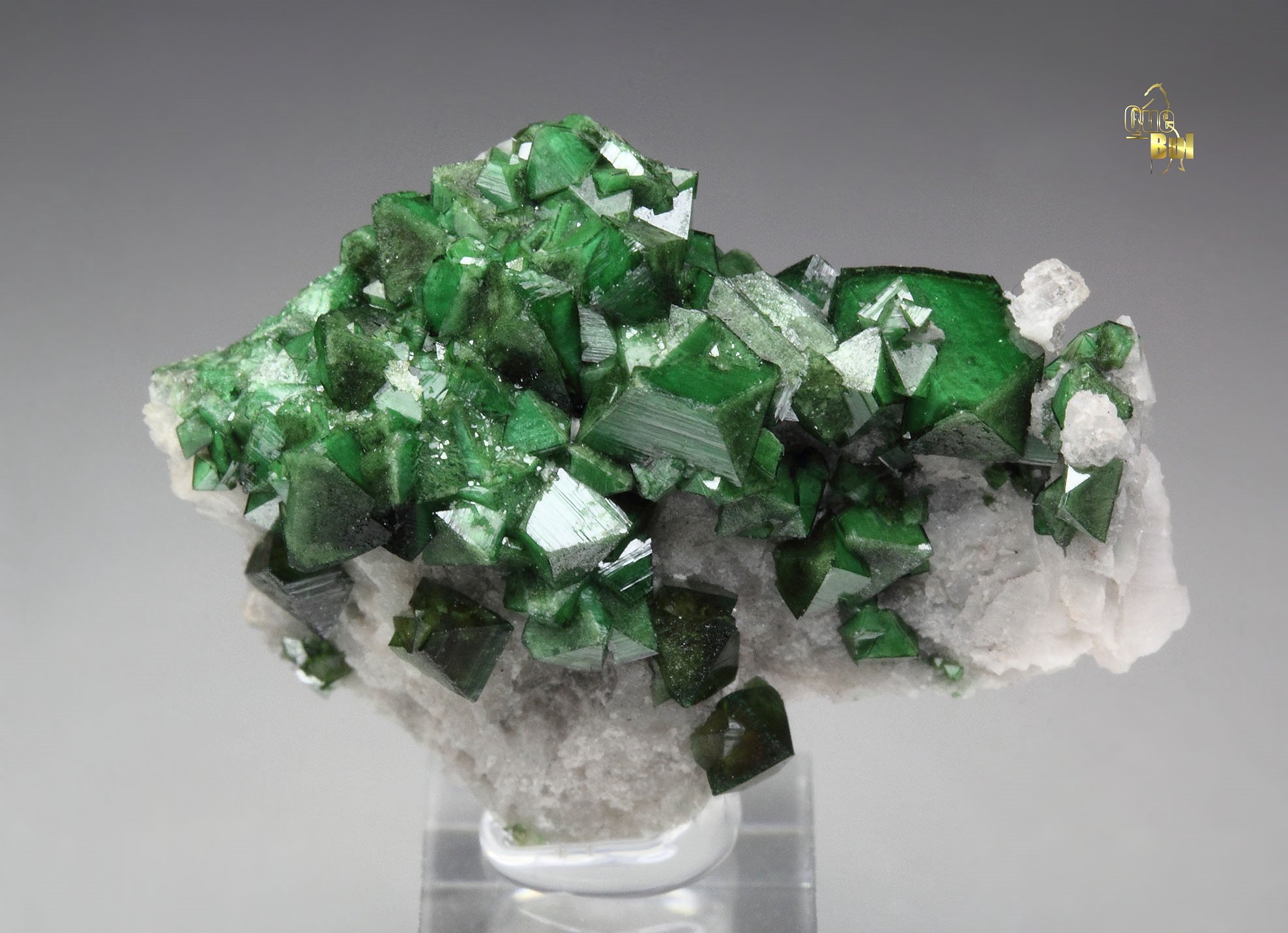 ZINCOLIVENITE