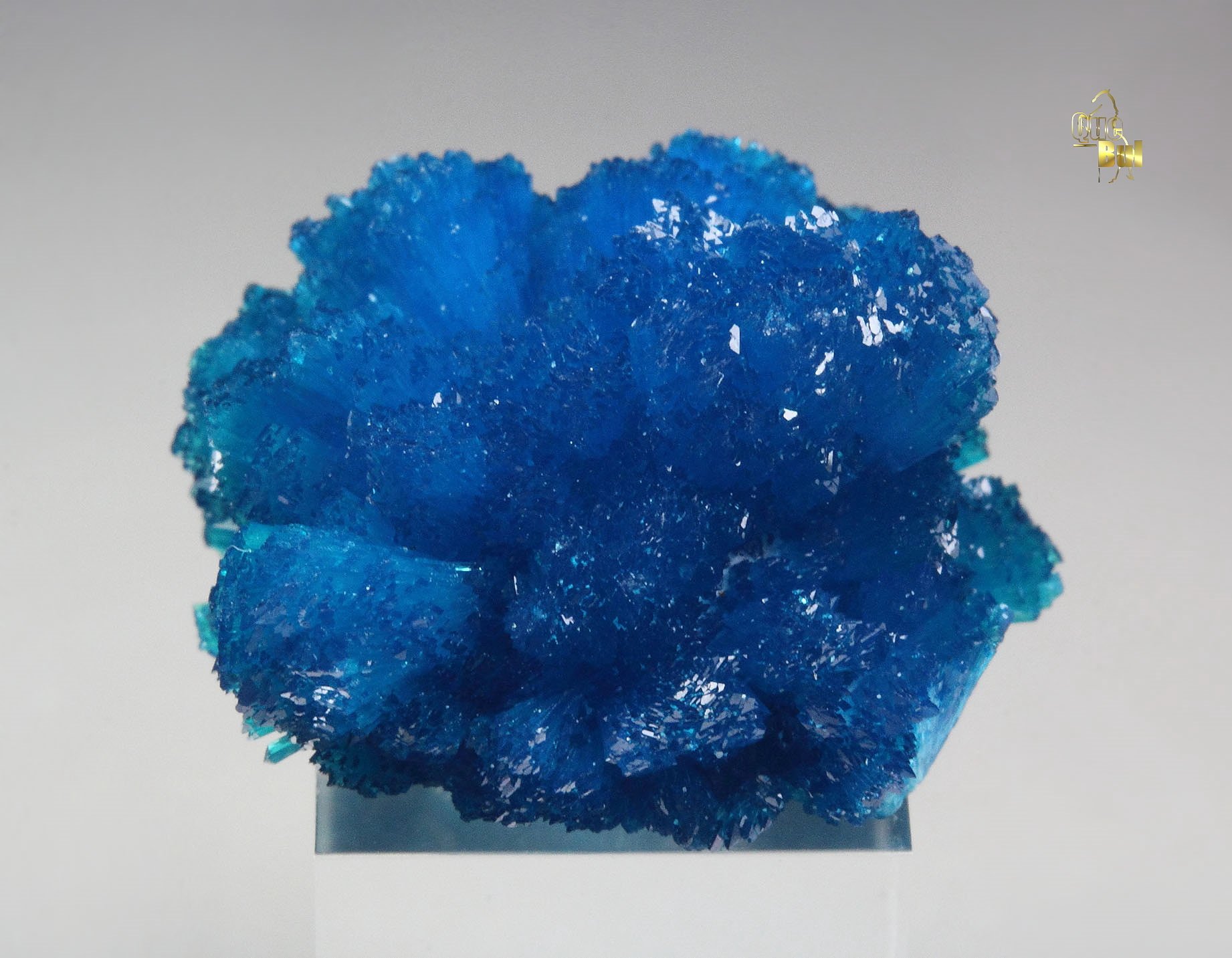 CAVANSITE