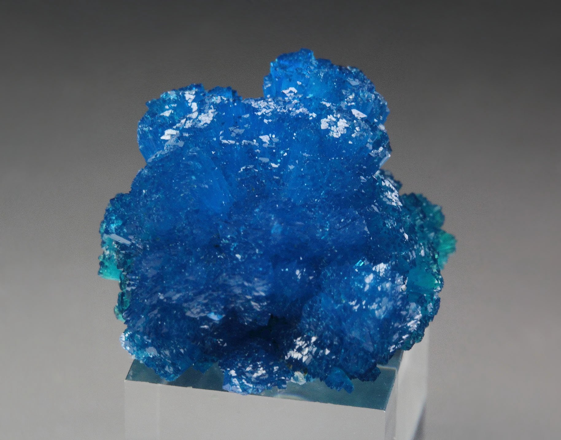 CAVANSITE