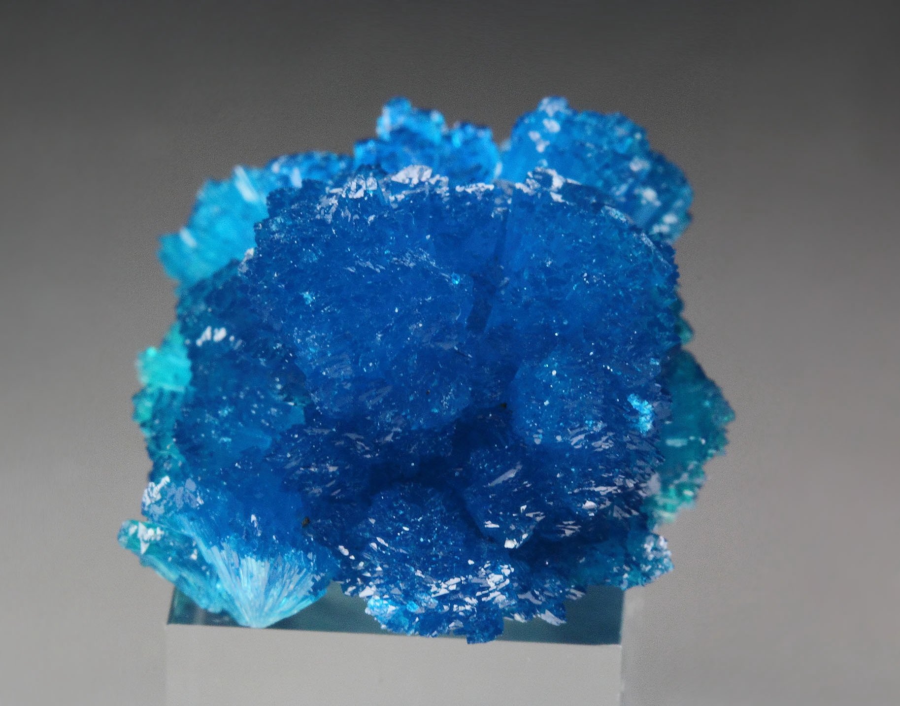 CAVANSITE