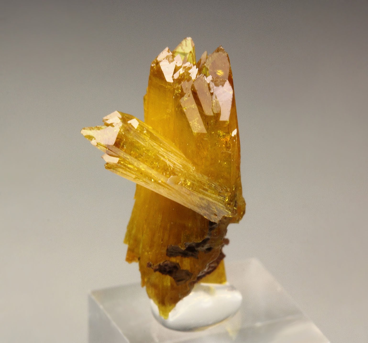 gemmy LEGRANDITE