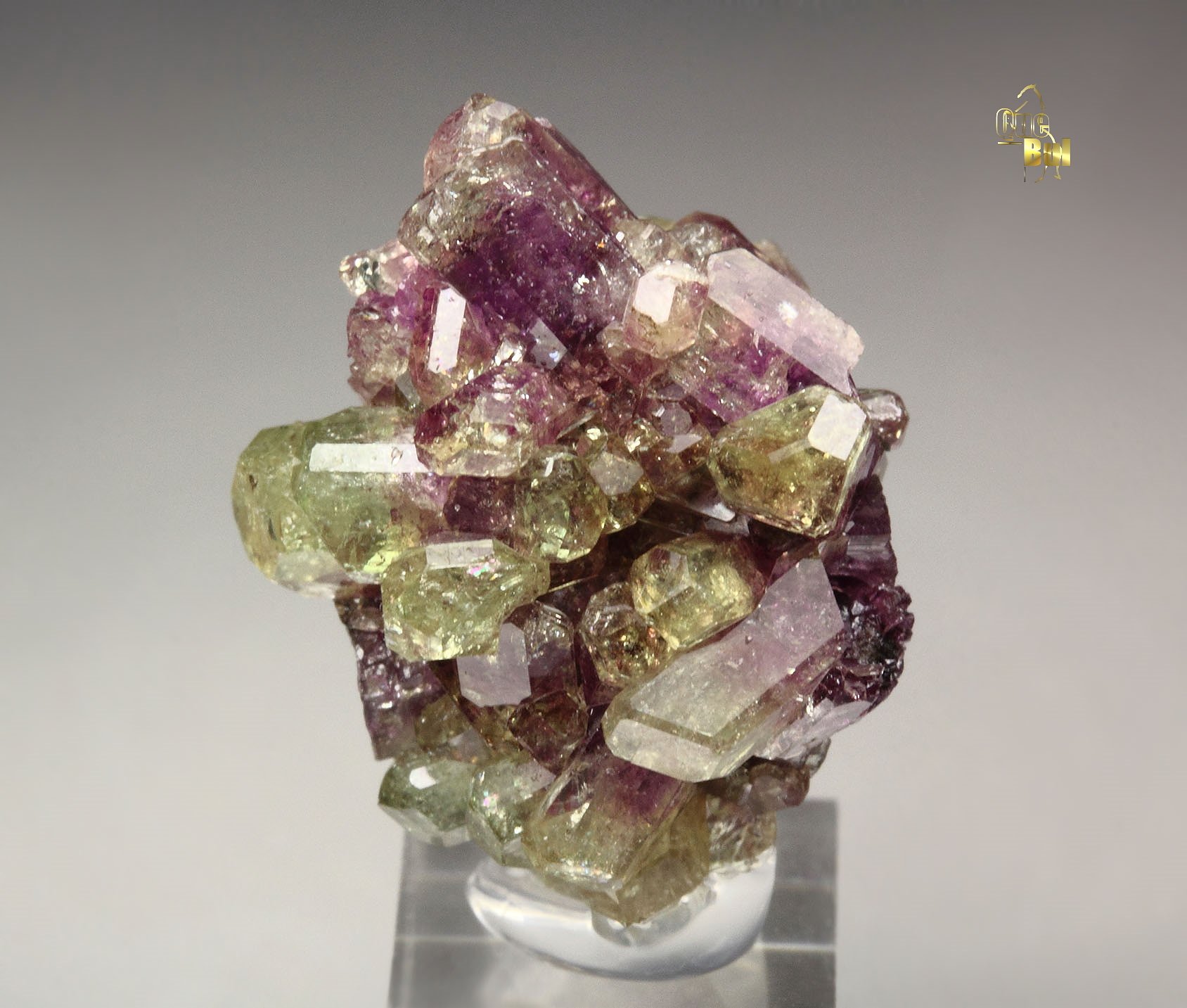 gemmy VESUVIANITE bi-color