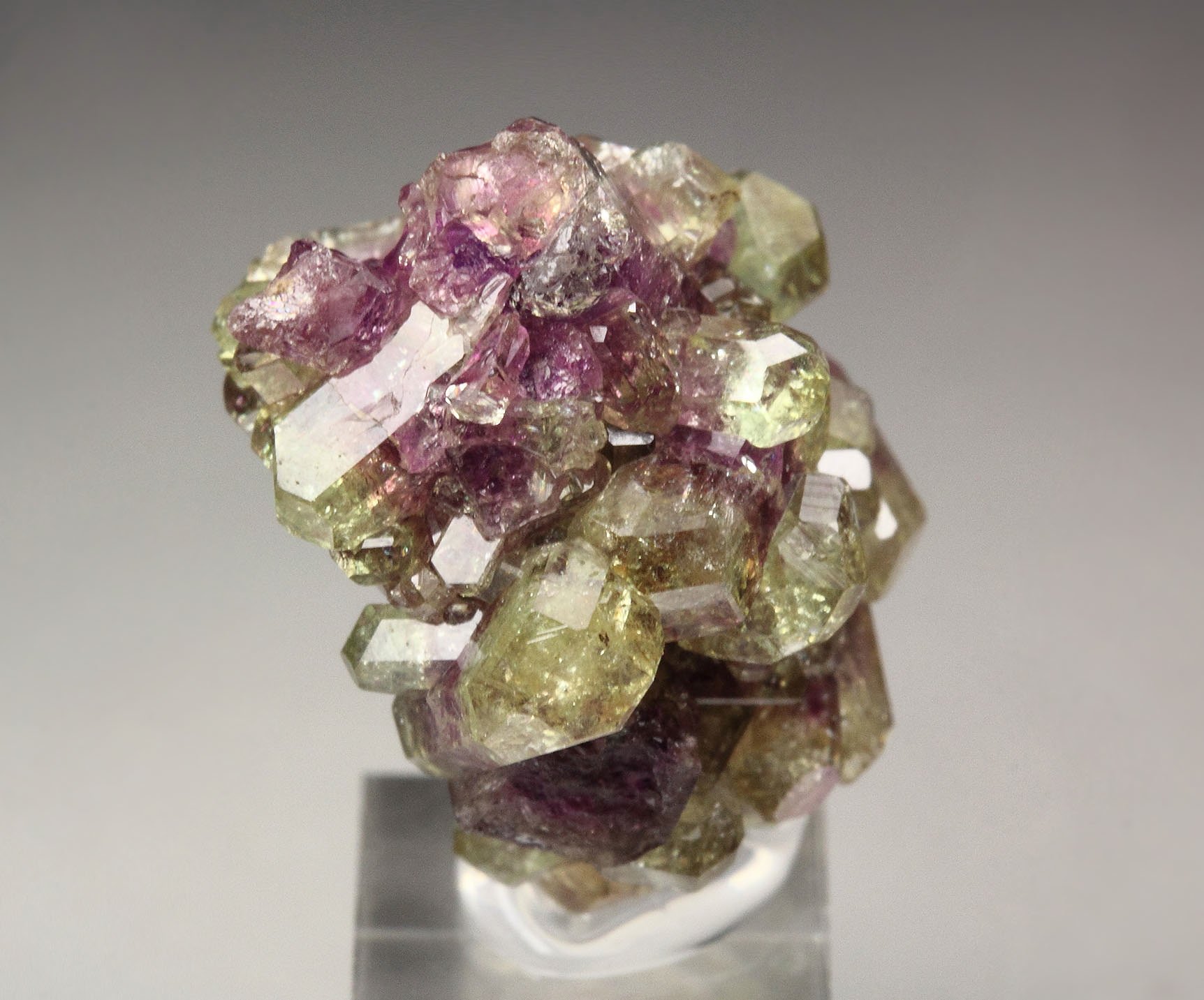 gemmy VESUVIANITE bi-color