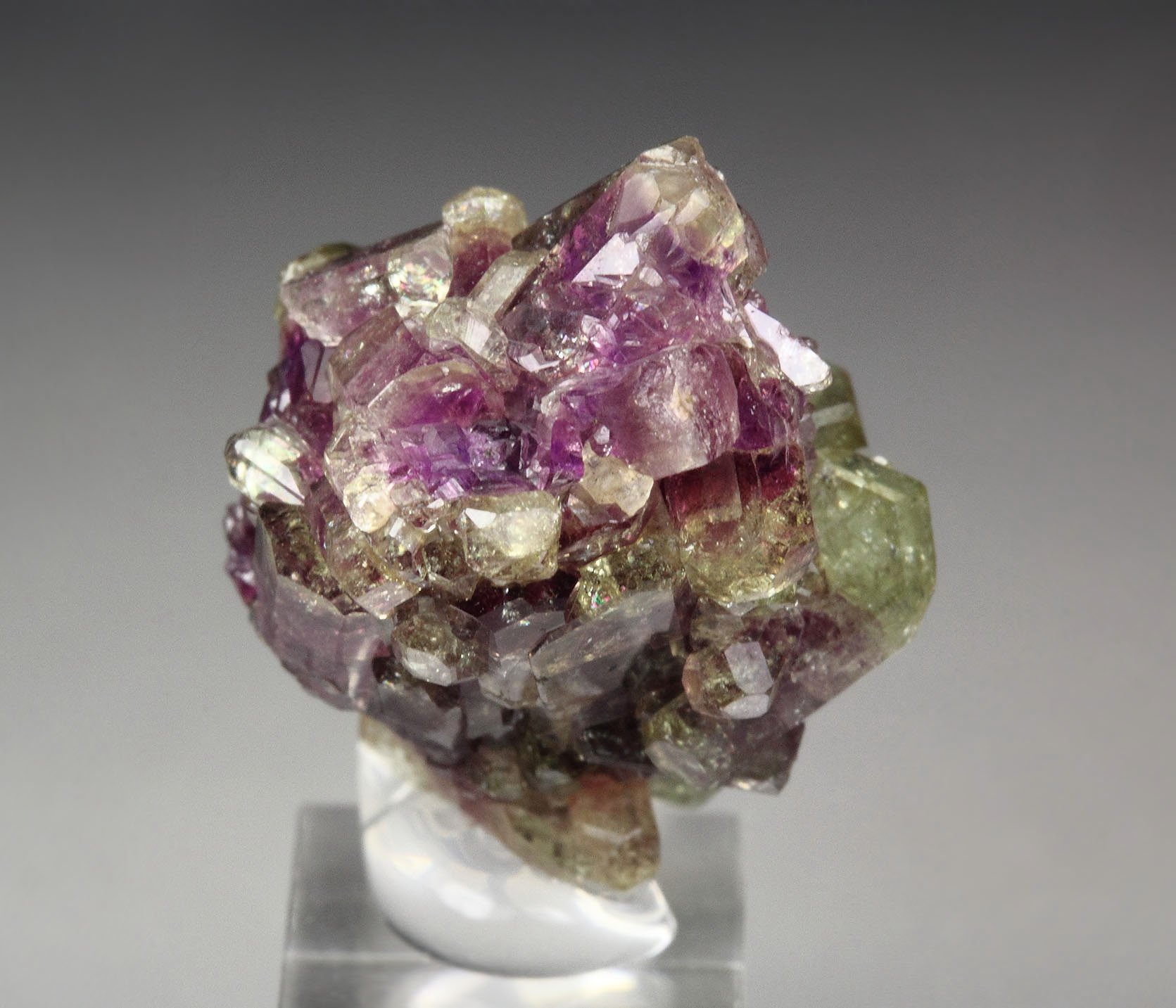 gemmy VESUVIANITE bi-color
