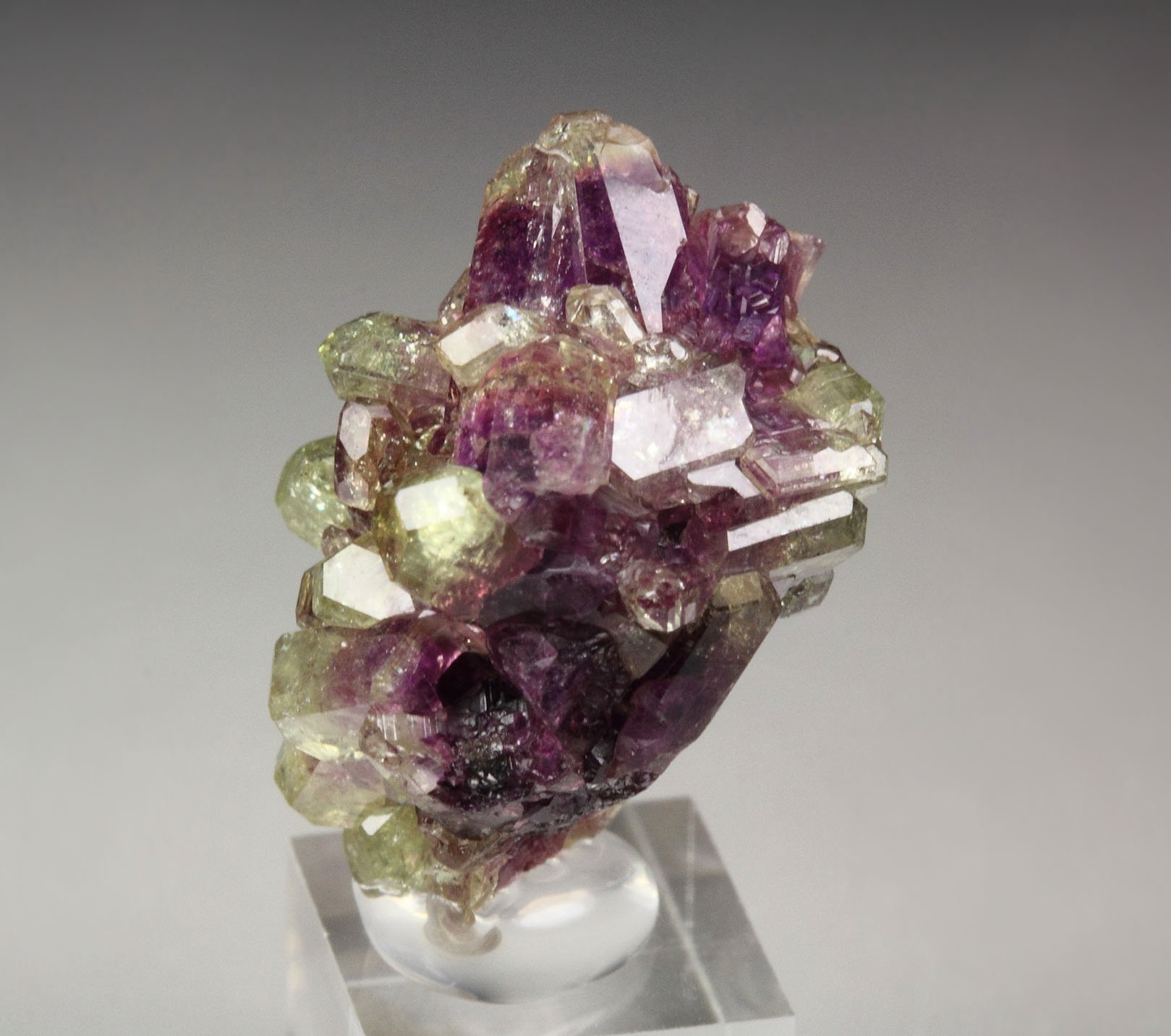 gemmy VESUVIANITE bi-color