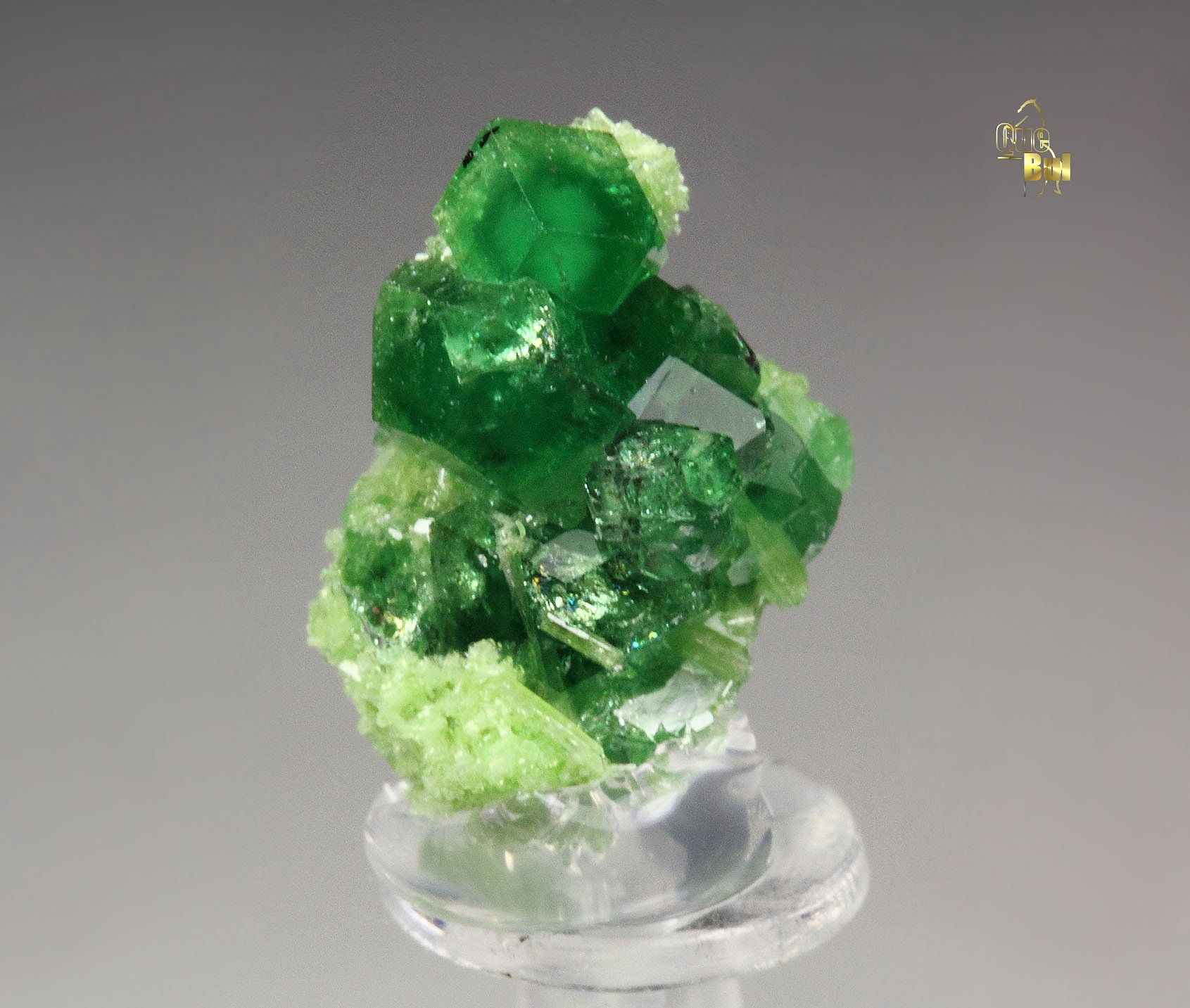 gem GARNET var. GROSSULAR var. CHROMIAN, CHROMITE