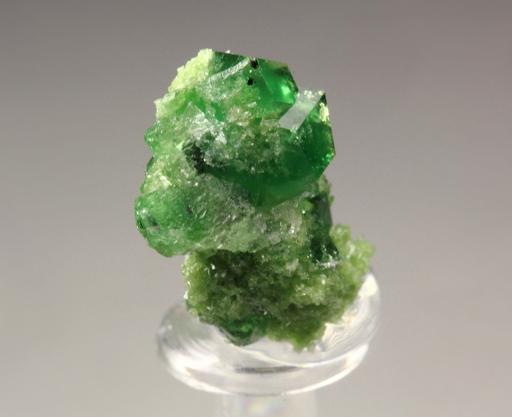 gem GARNET var. GROSSULAR var. CHROMIAN, CHROMITE