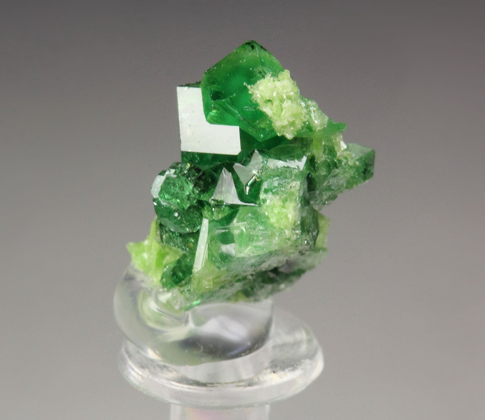 gem GARNET var. GROSSULAR var. CHROMIAN, CHROMITE