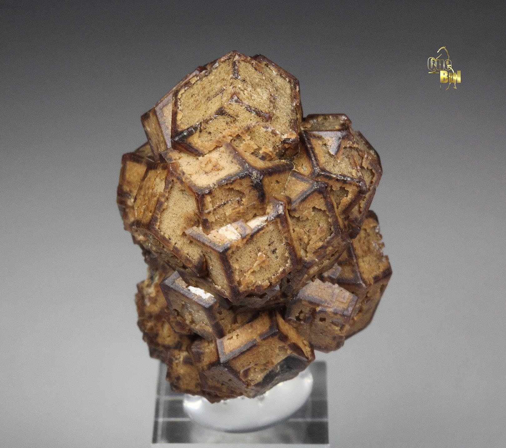 GARNET var. ANDRADITE