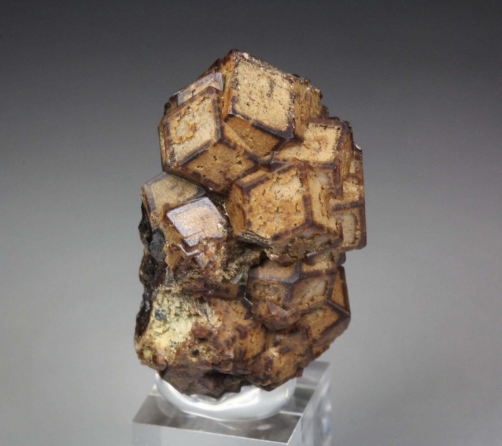 GARNET var. ANDRADITE
