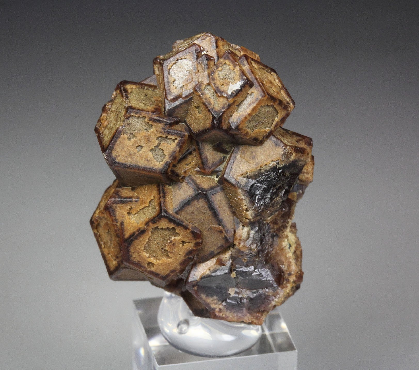 GARNET var. ANDRADITE