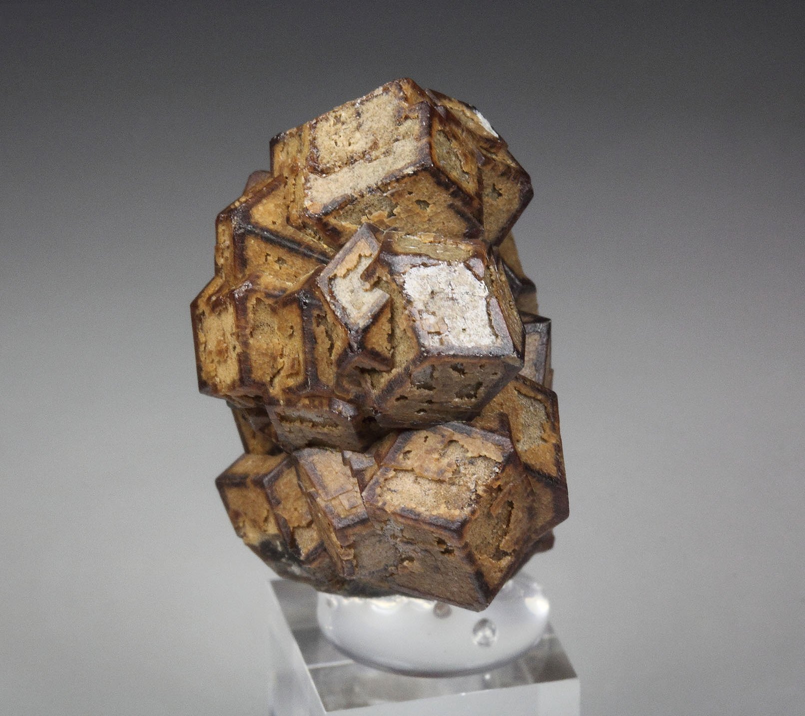 GARNET var. ANDRADITE