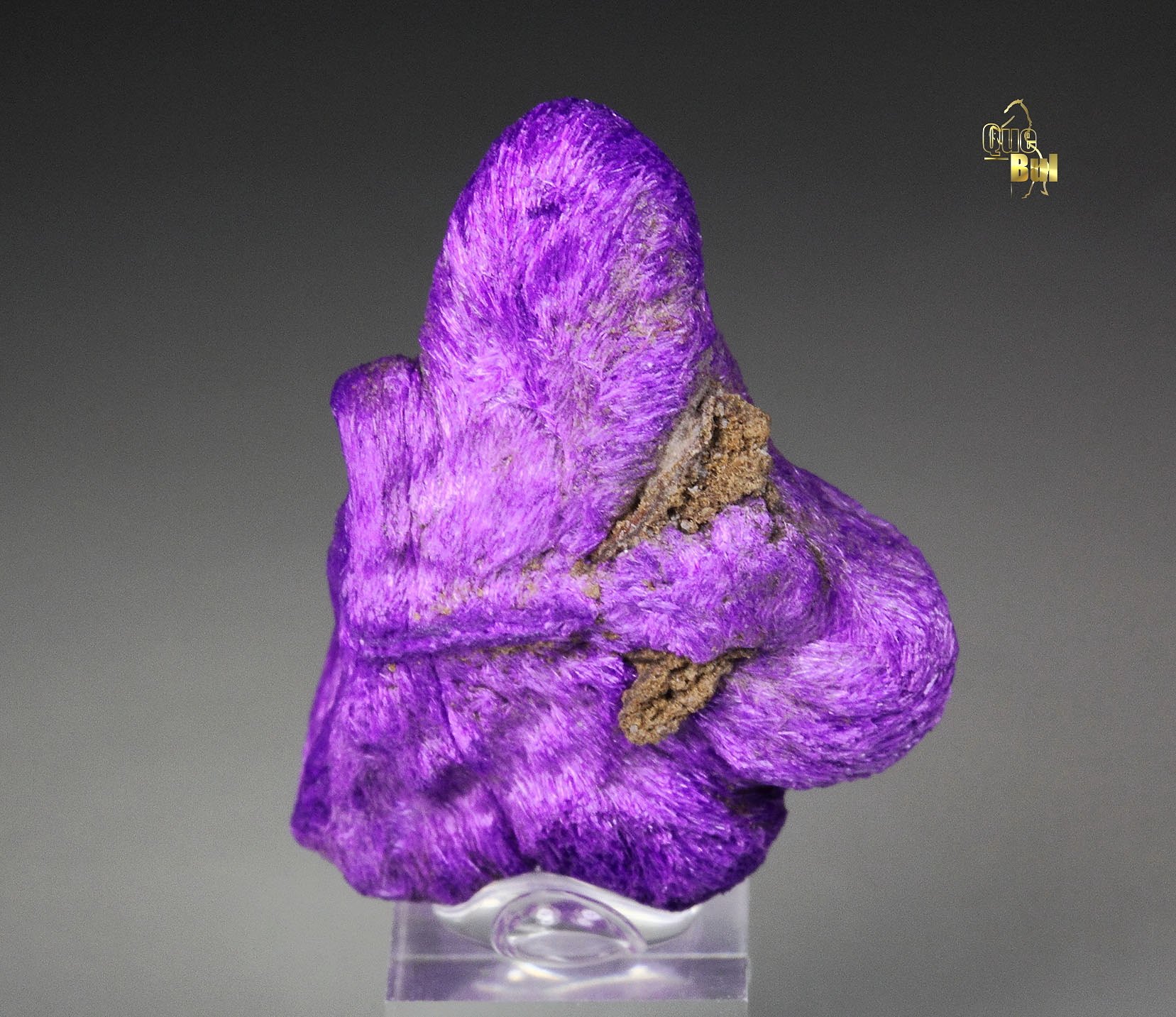 SUGILITE