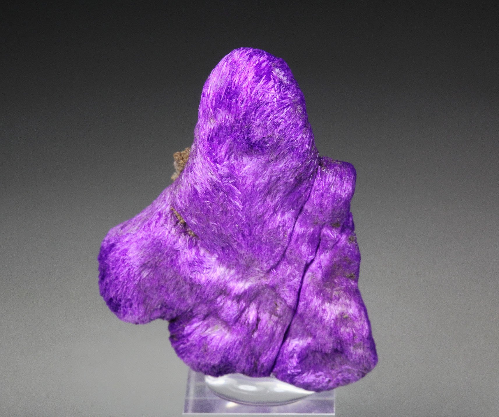 SUGILITE