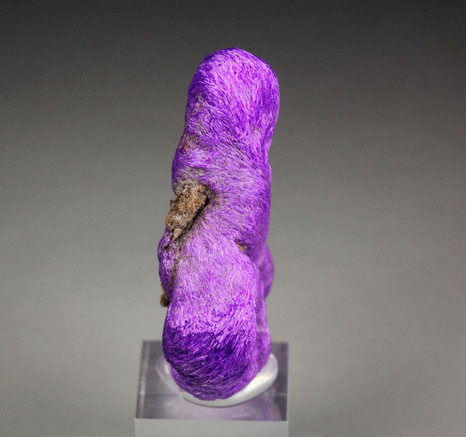SUGILITE