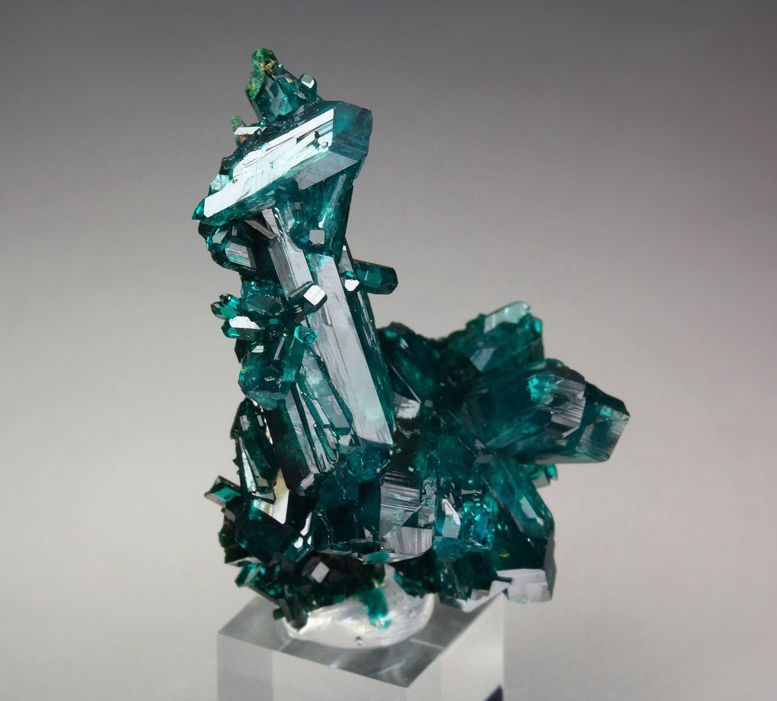gemmy DIOPTASE