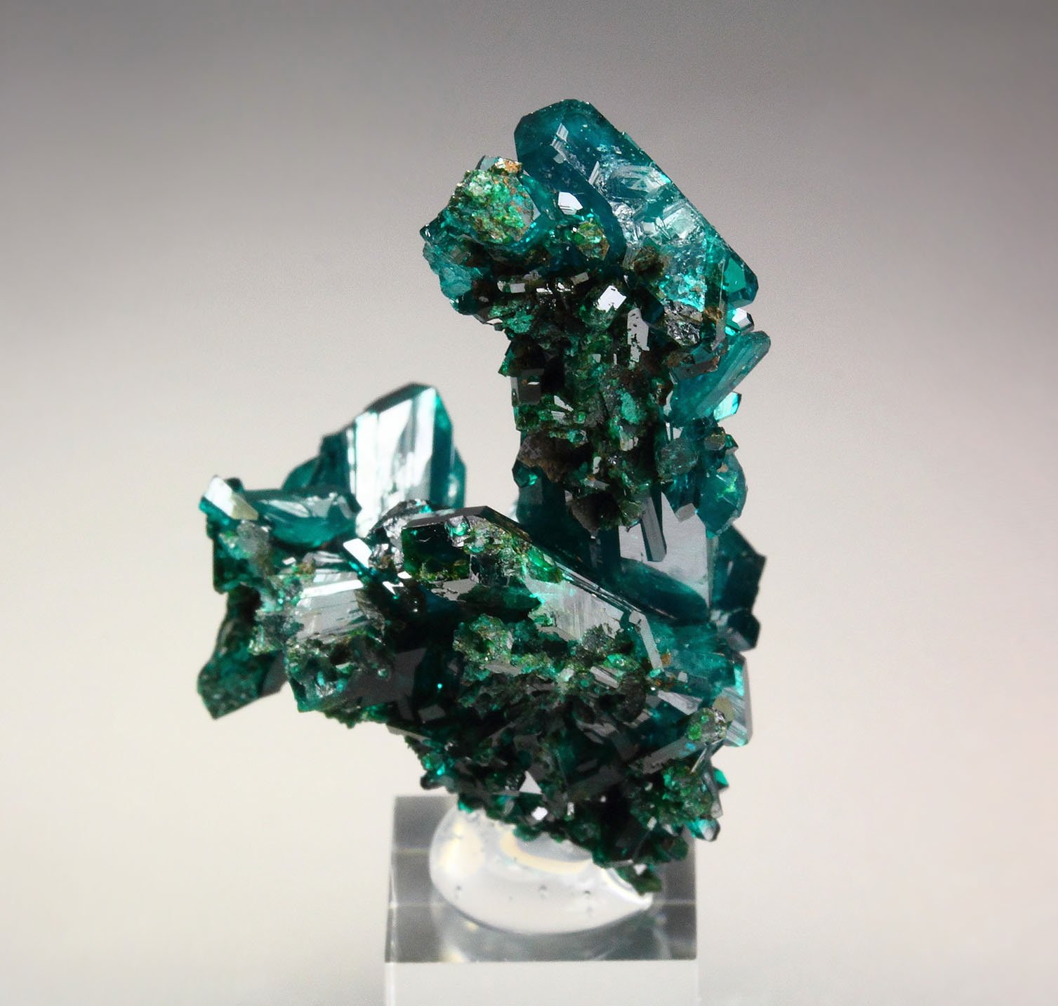 gemmy DIOPTASE