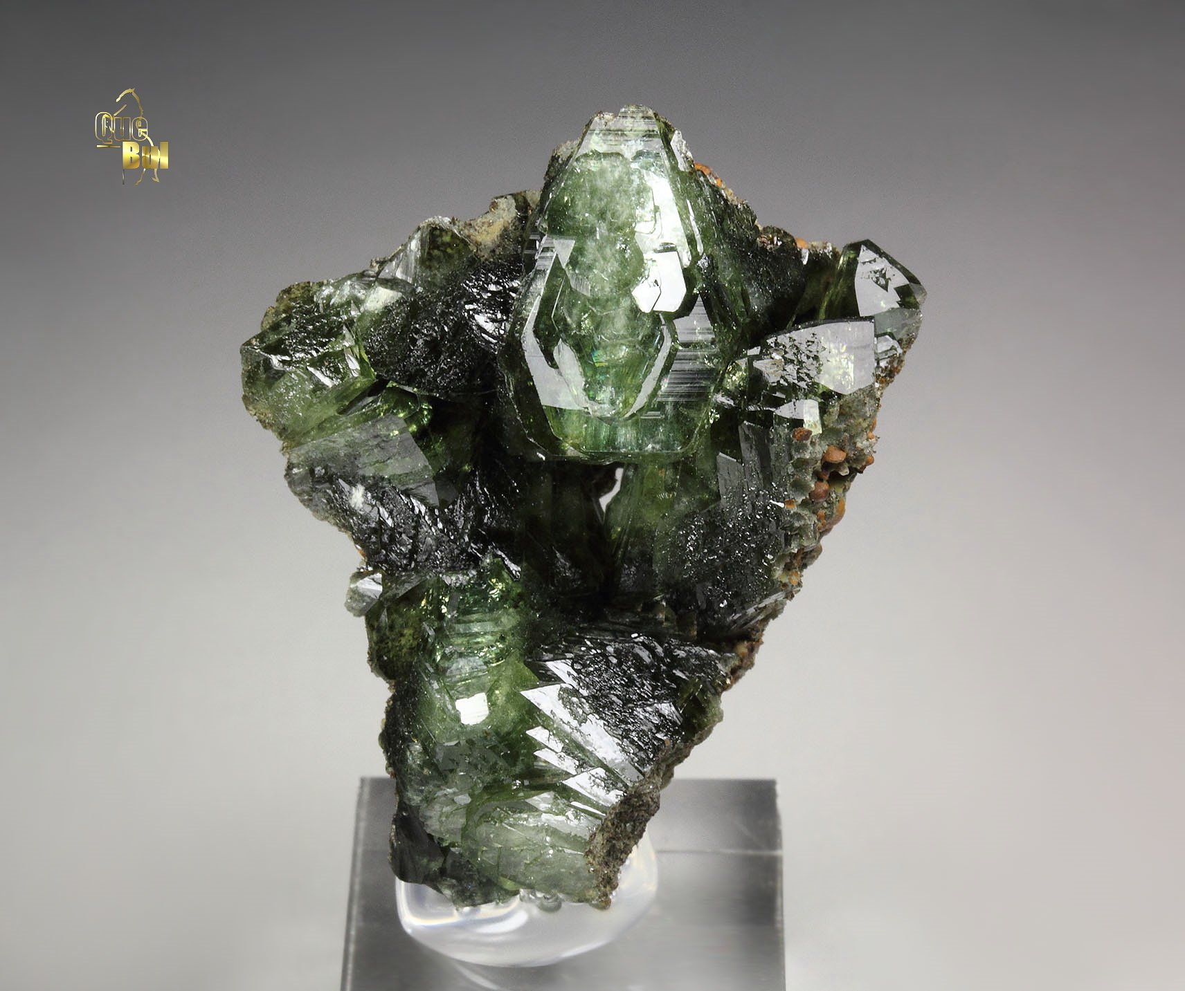 LUDLAMITE
