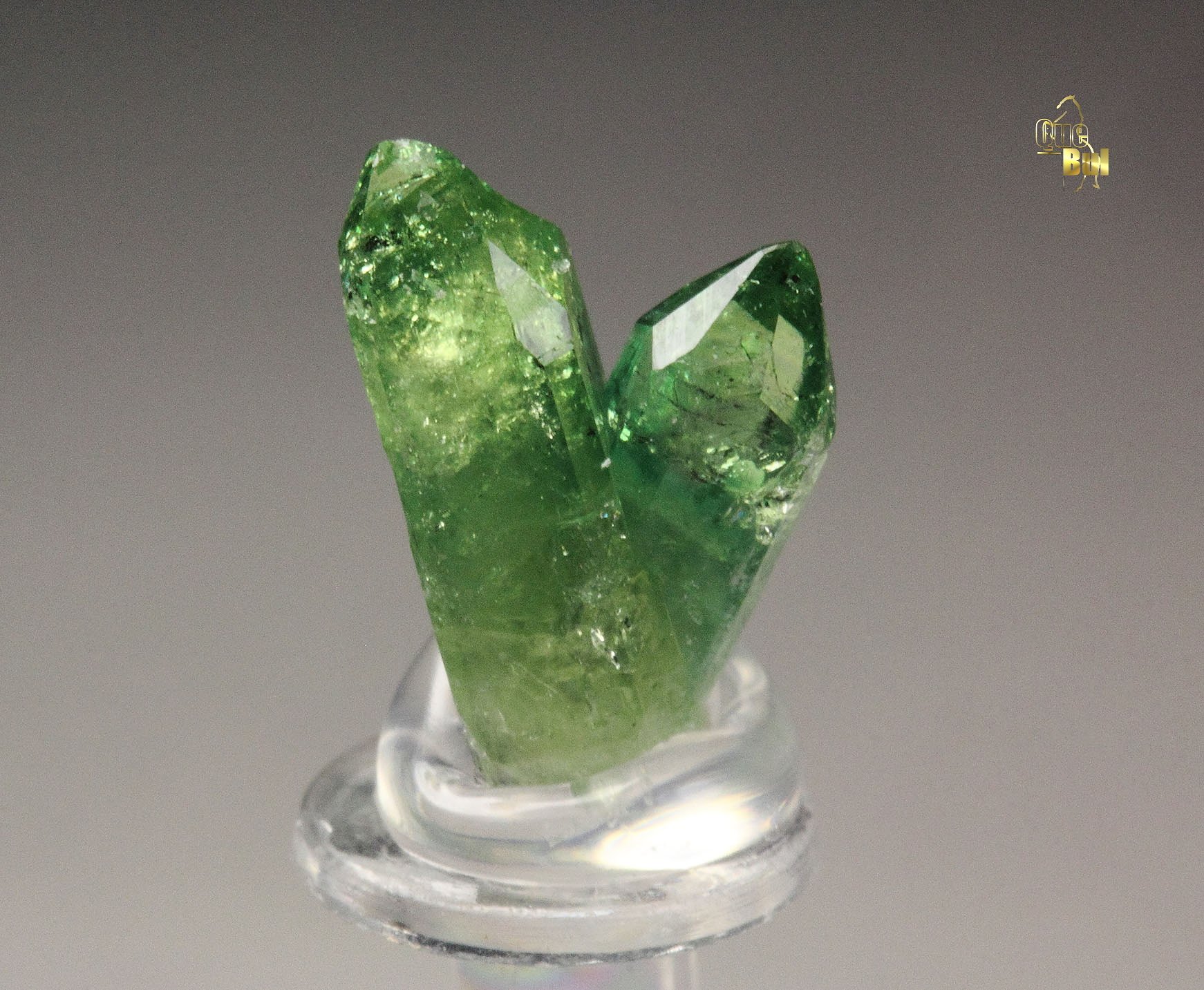 gem VESUVIANITE var. CHROMIAN