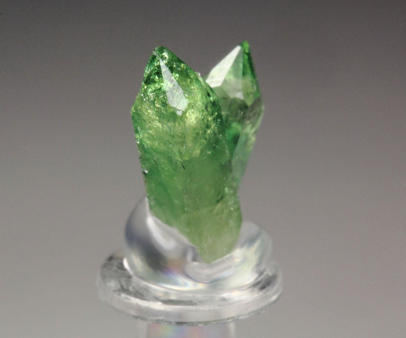 gem VESUVIANITE var. CHROMIAN