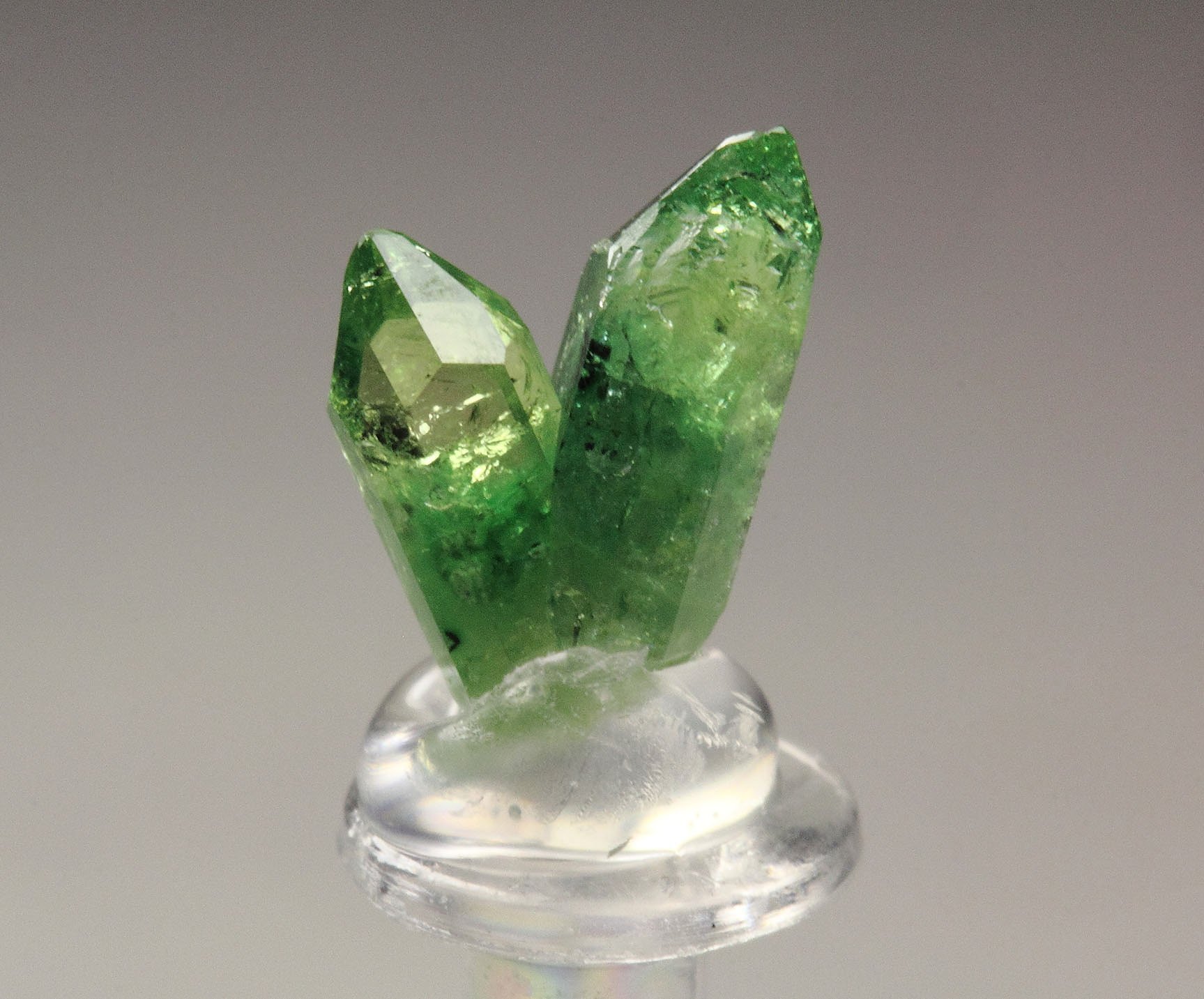 gem VESUVIANITE var. CHROMIAN