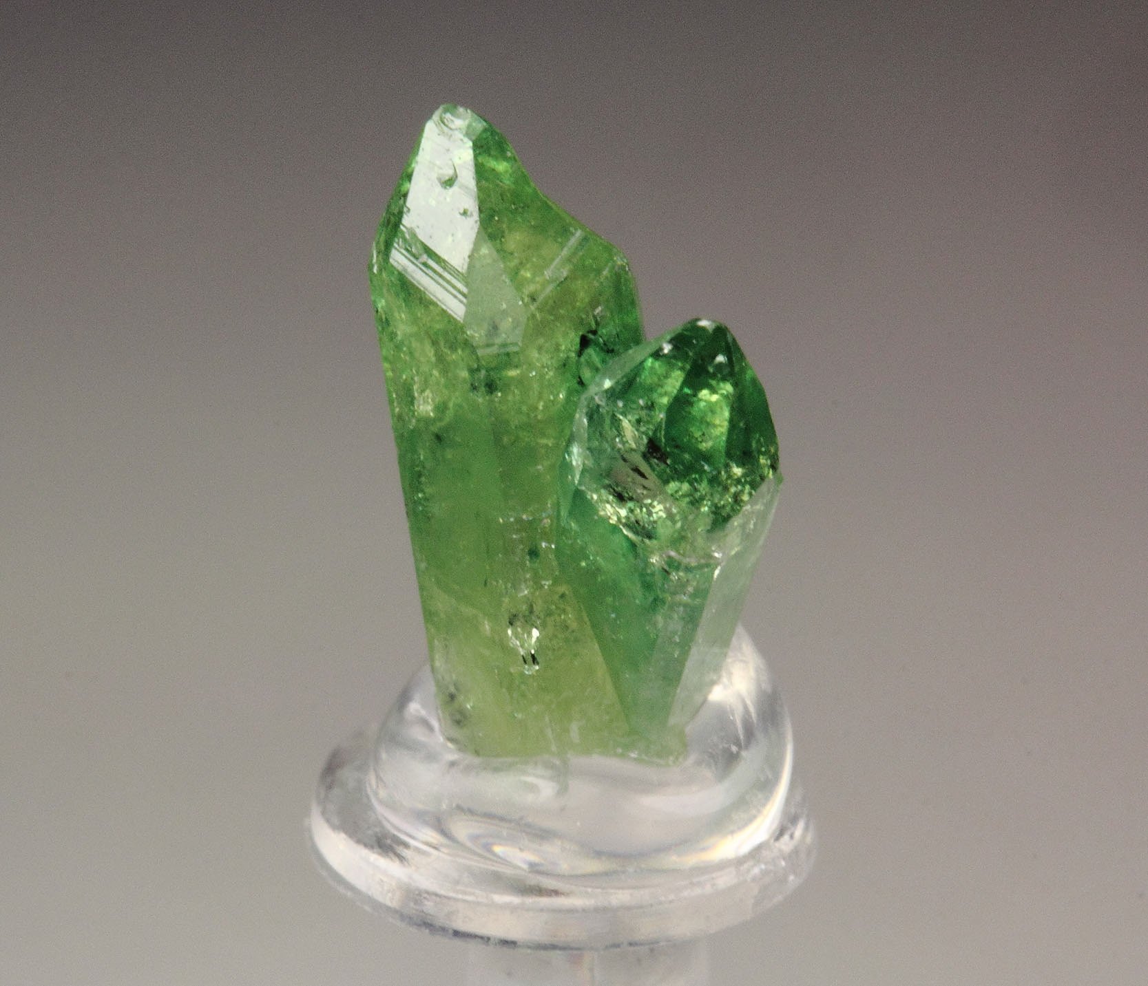gem VESUVIANITE var. CHROMIAN