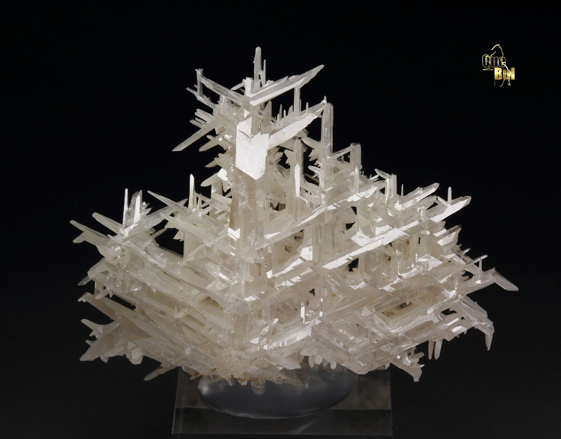 reticulated CERUSSITE