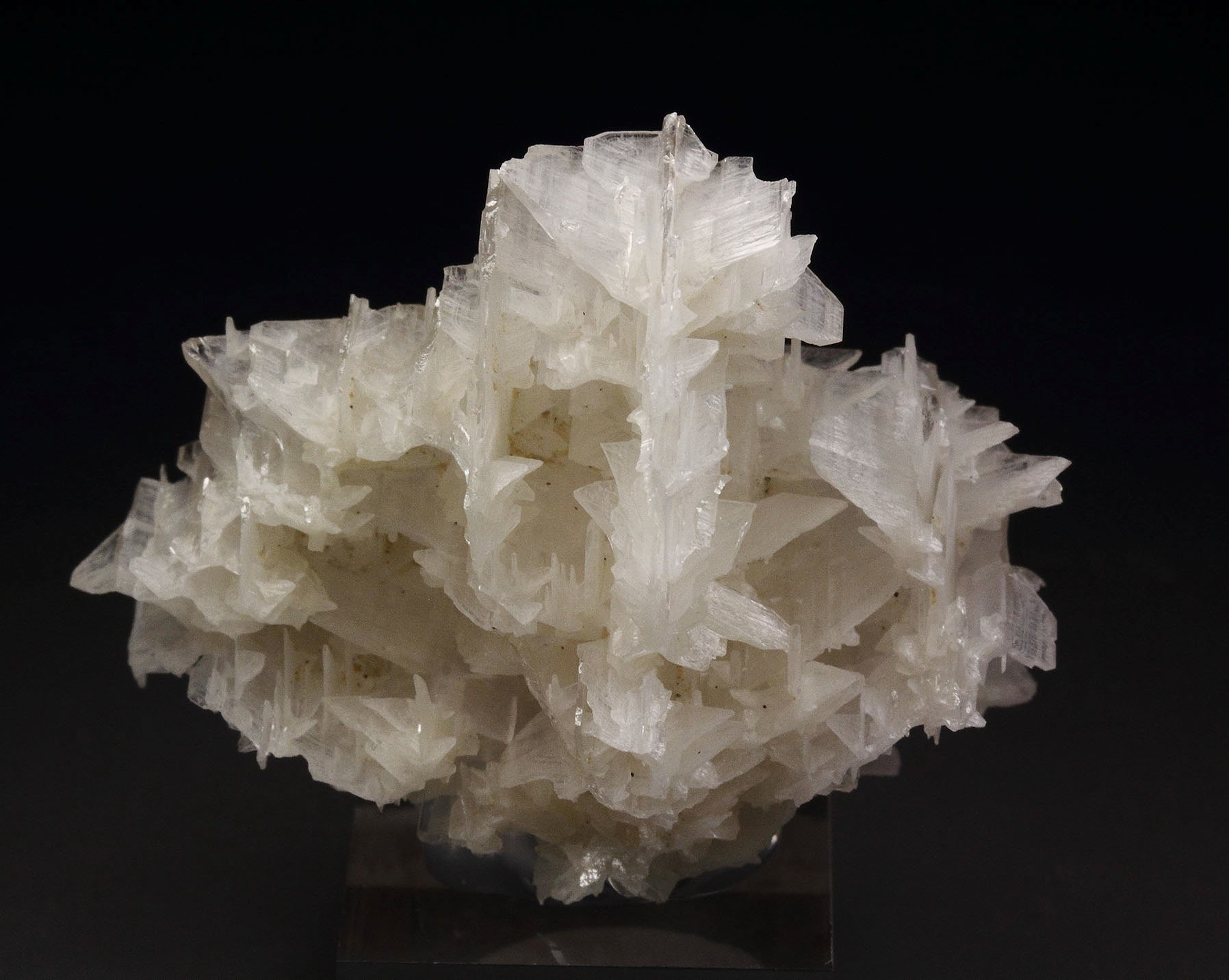 reticulated CERUSSITE