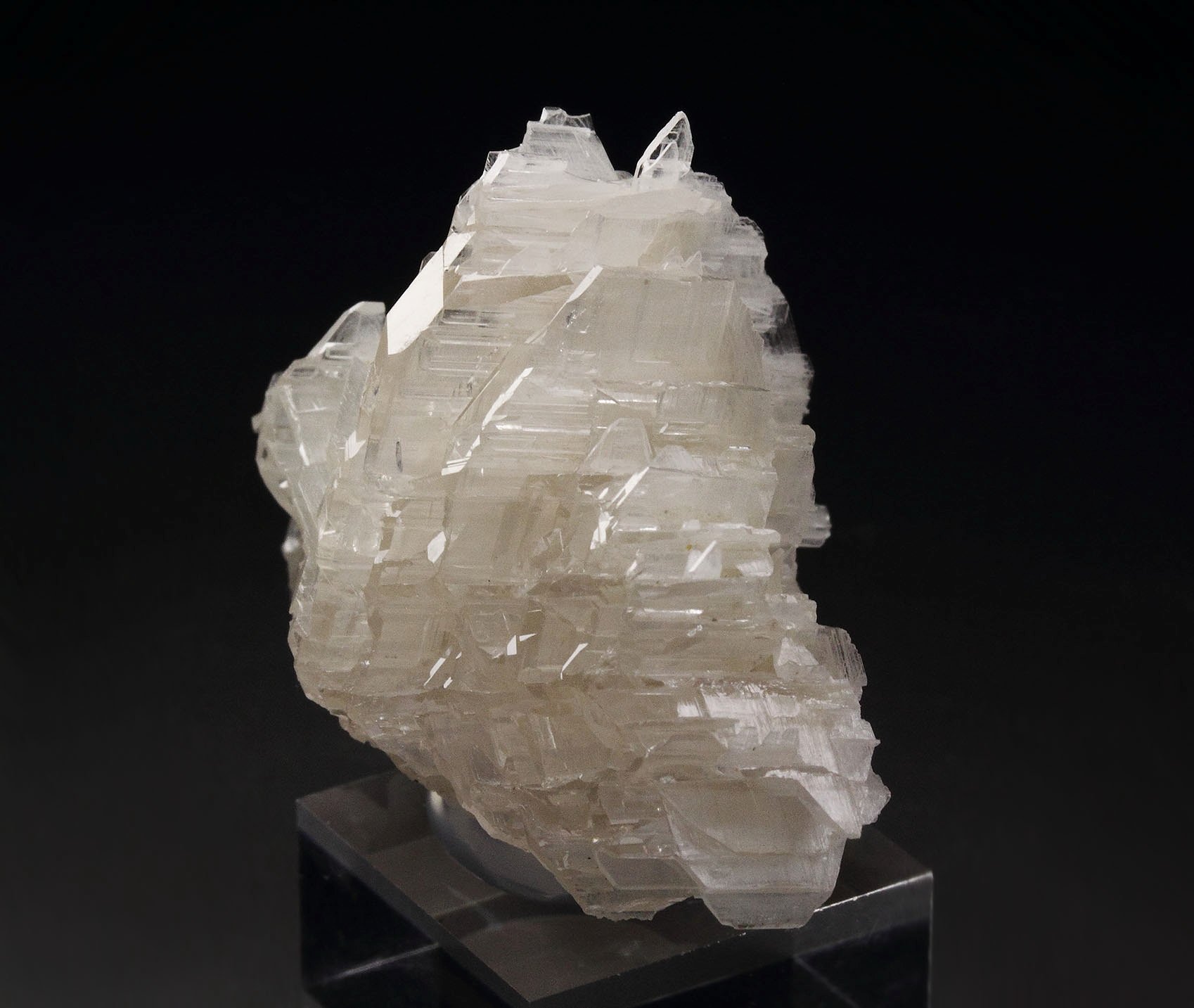 reticulated CERUSSITE