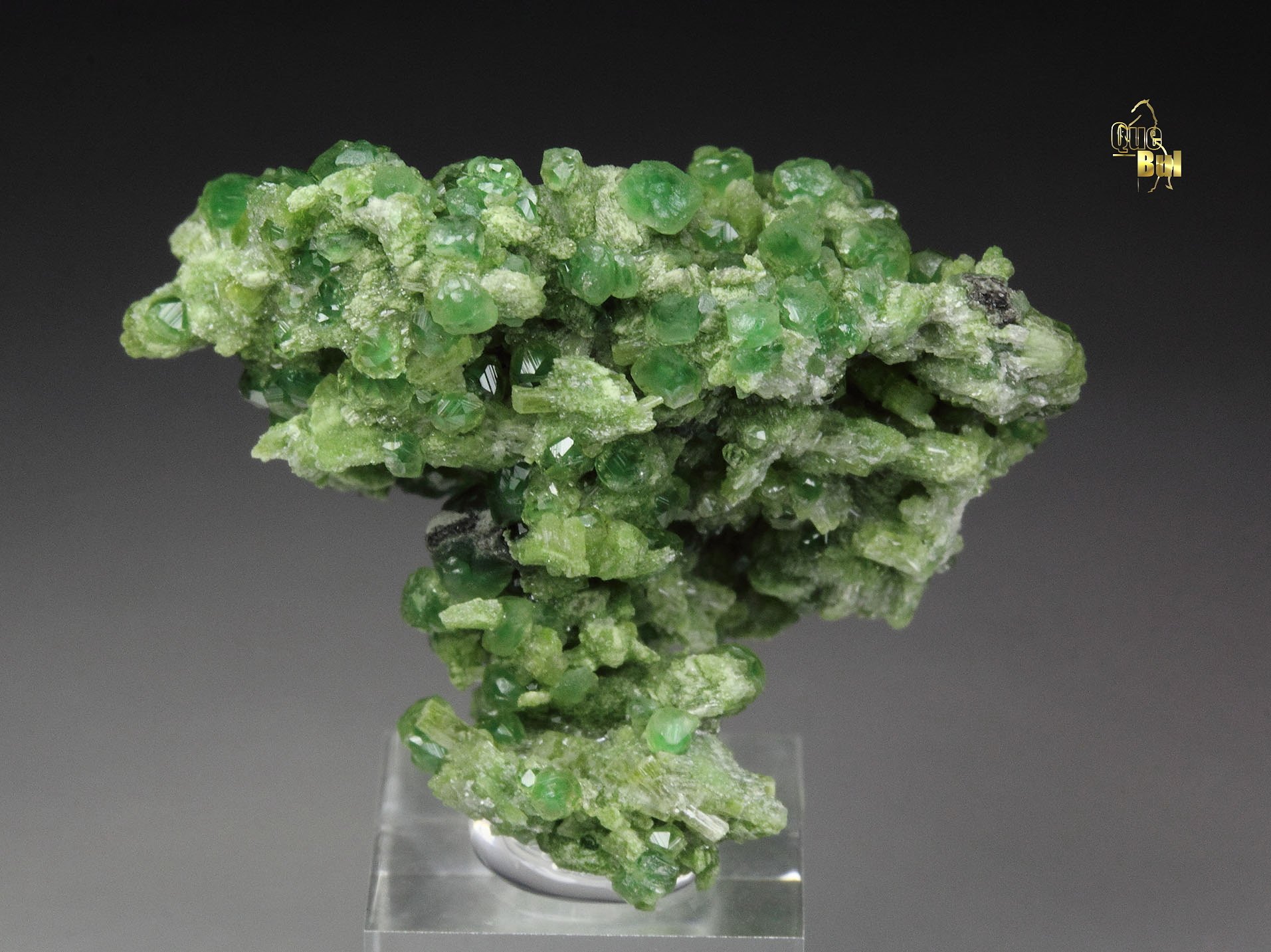 GARNET var. GROSSULAR var. CHROMIAN, DIOPSIDE, CLINOCHLORE