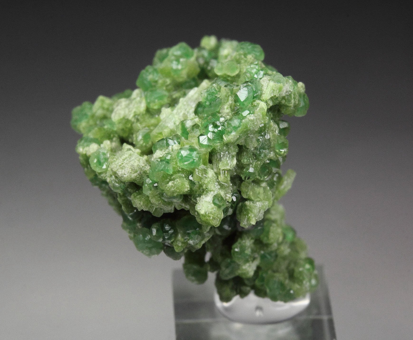 GARNET var. GROSSULAR var. CHROMIAN, DIOPSIDE, CLINOCHLORE