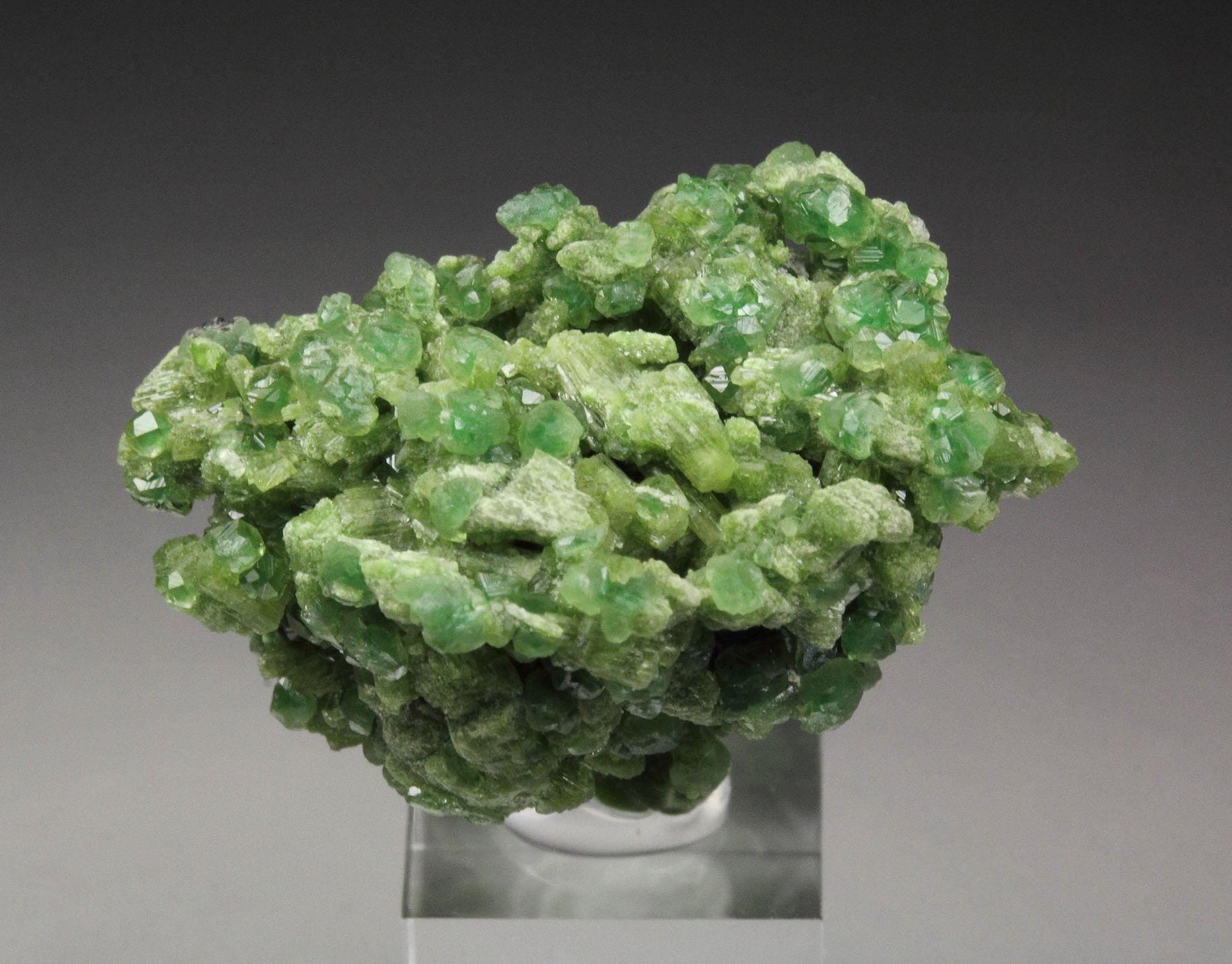 GARNET var. GROSSULAR var. CHROMIAN, DIOPSIDE, CLINOCHLORE