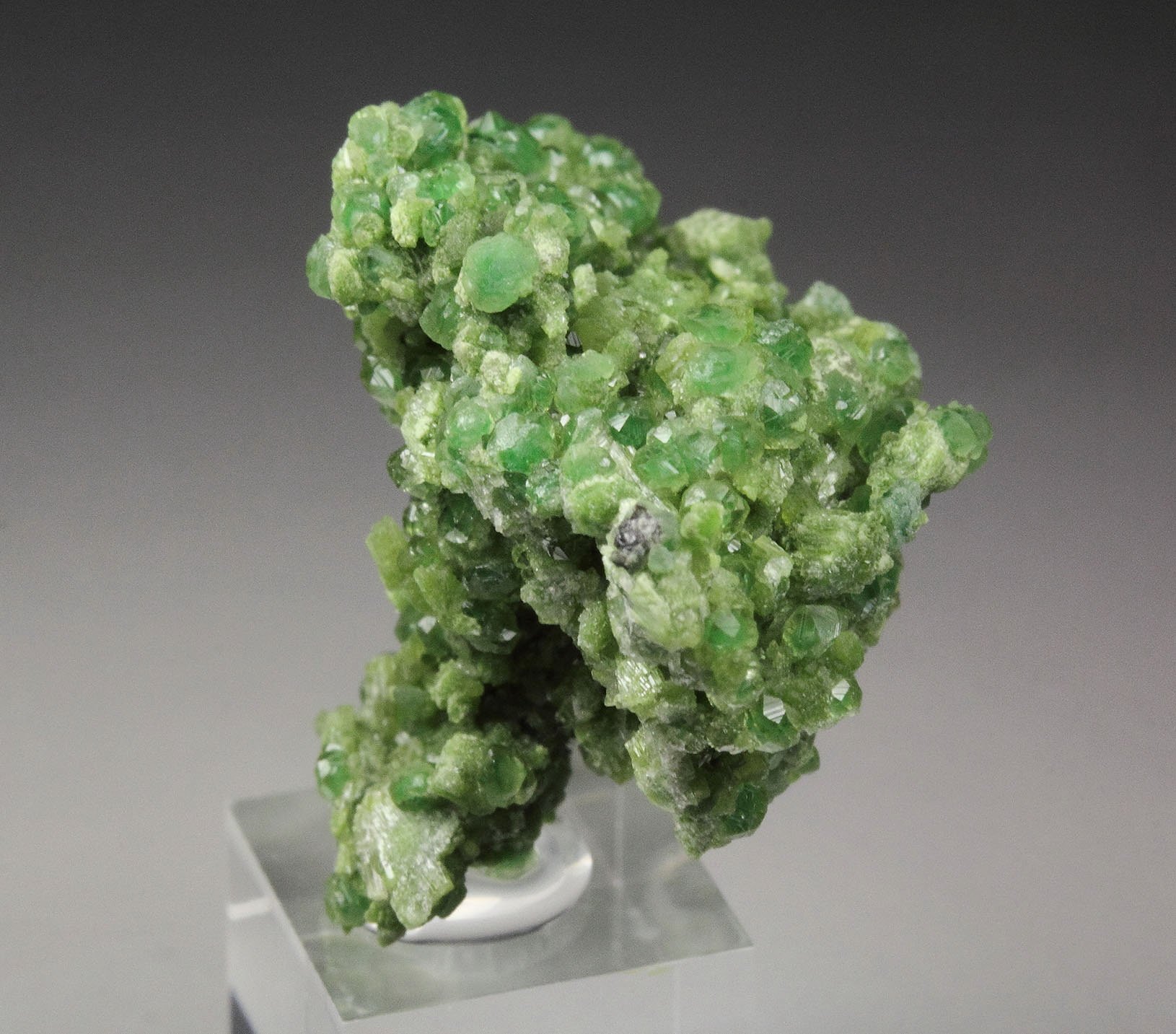 GARNET var. GROSSULAR var. CHROMIAN, DIOPSIDE, CLINOCHLORE