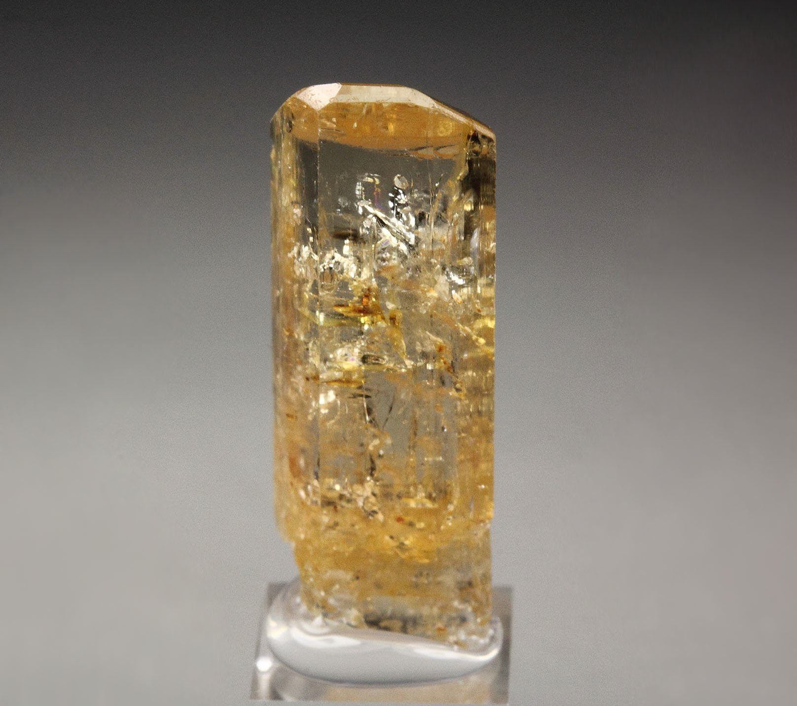 gem TOPAZ var. IMPERIAL TOPAZ