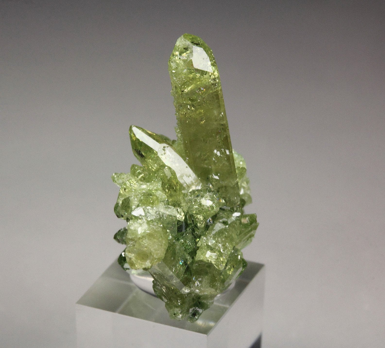 gem VESUVIANITE