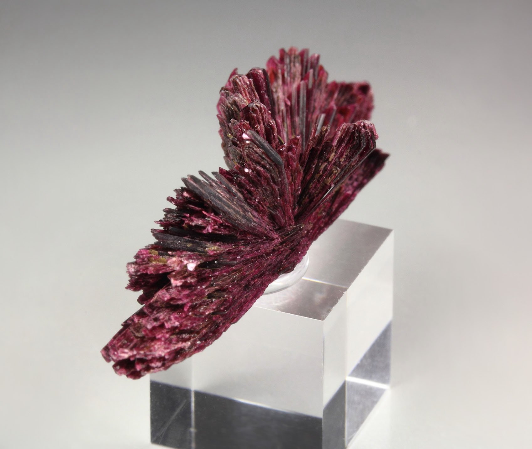 ERYTHRITE