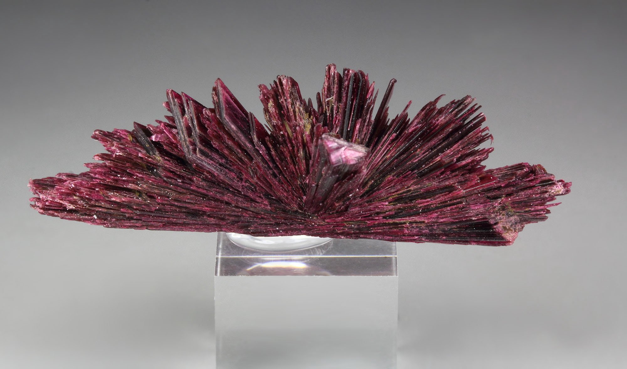 ERYTHRITE