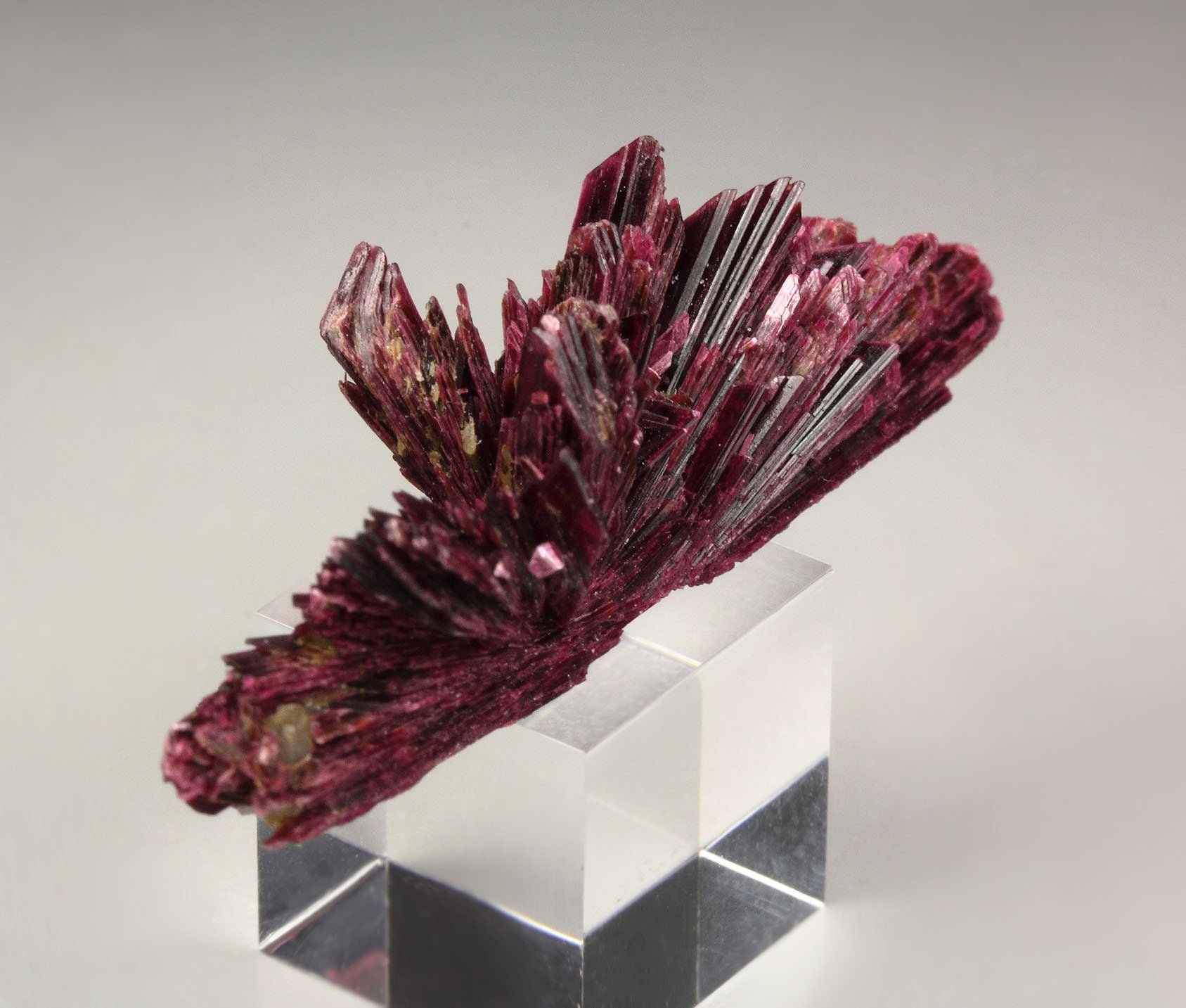 ERYTHRITE