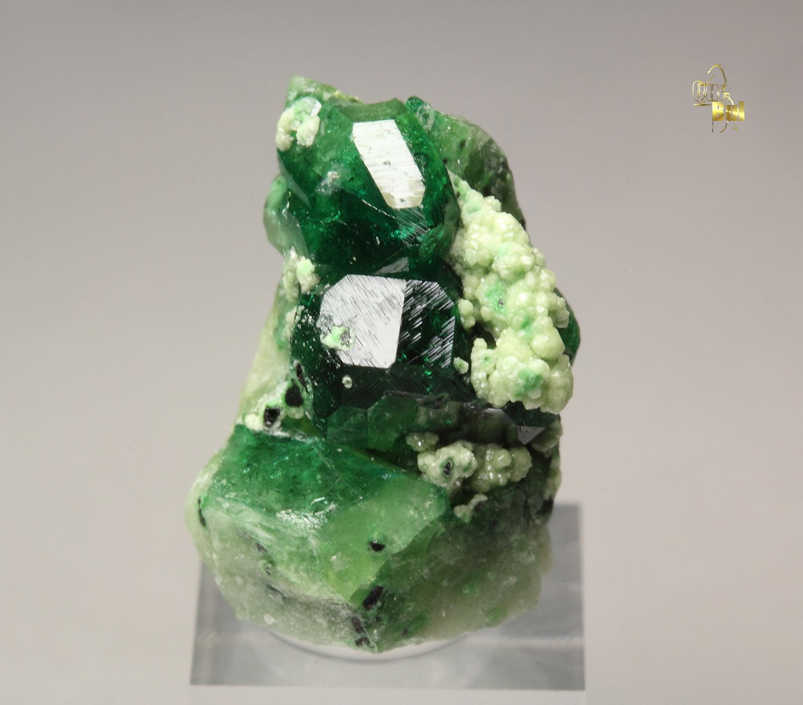 gem VESUVIANITE var. CHROMIAN, GARNET var. GROSSULAR