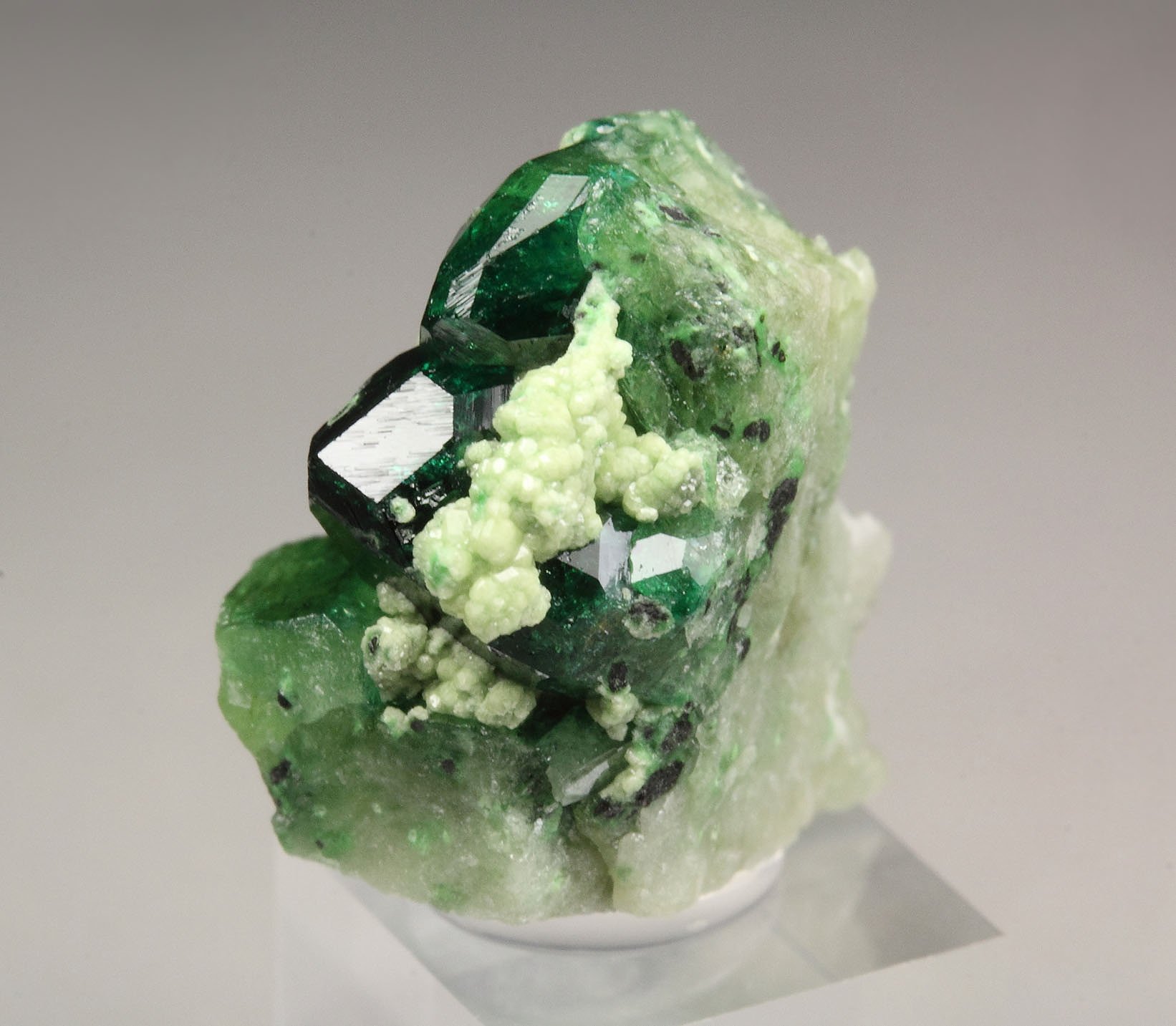 gem VESUVIANITE var. CHROMIAN, GARNET var. GROSSULAR