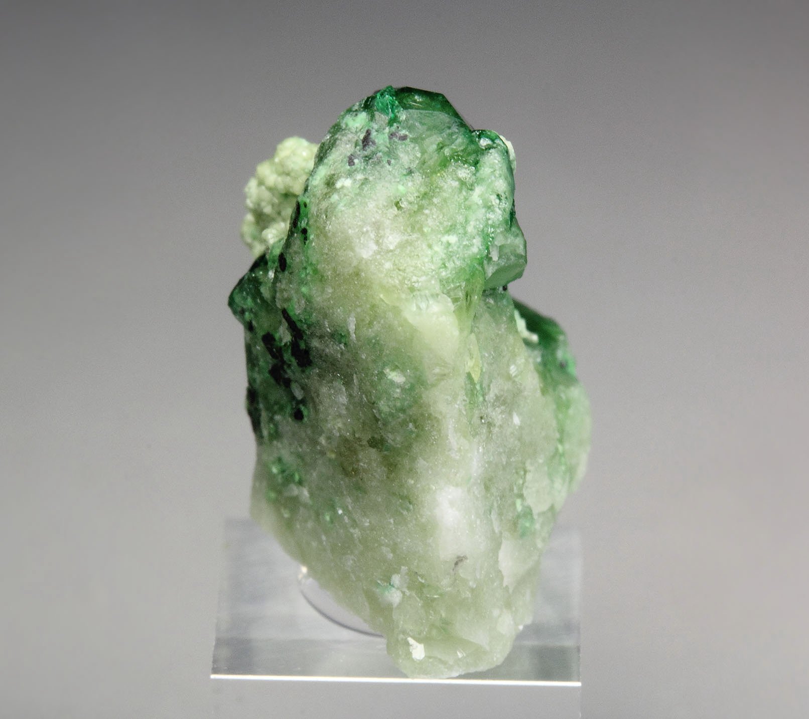 gem VESUVIANITE var. CHROMIAN, GARNET var. GROSSULAR