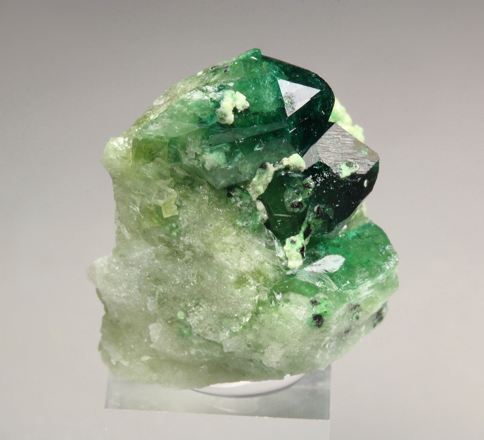 gem VESUVIANITE var. CHROMIAN, GARNET var. GROSSULAR