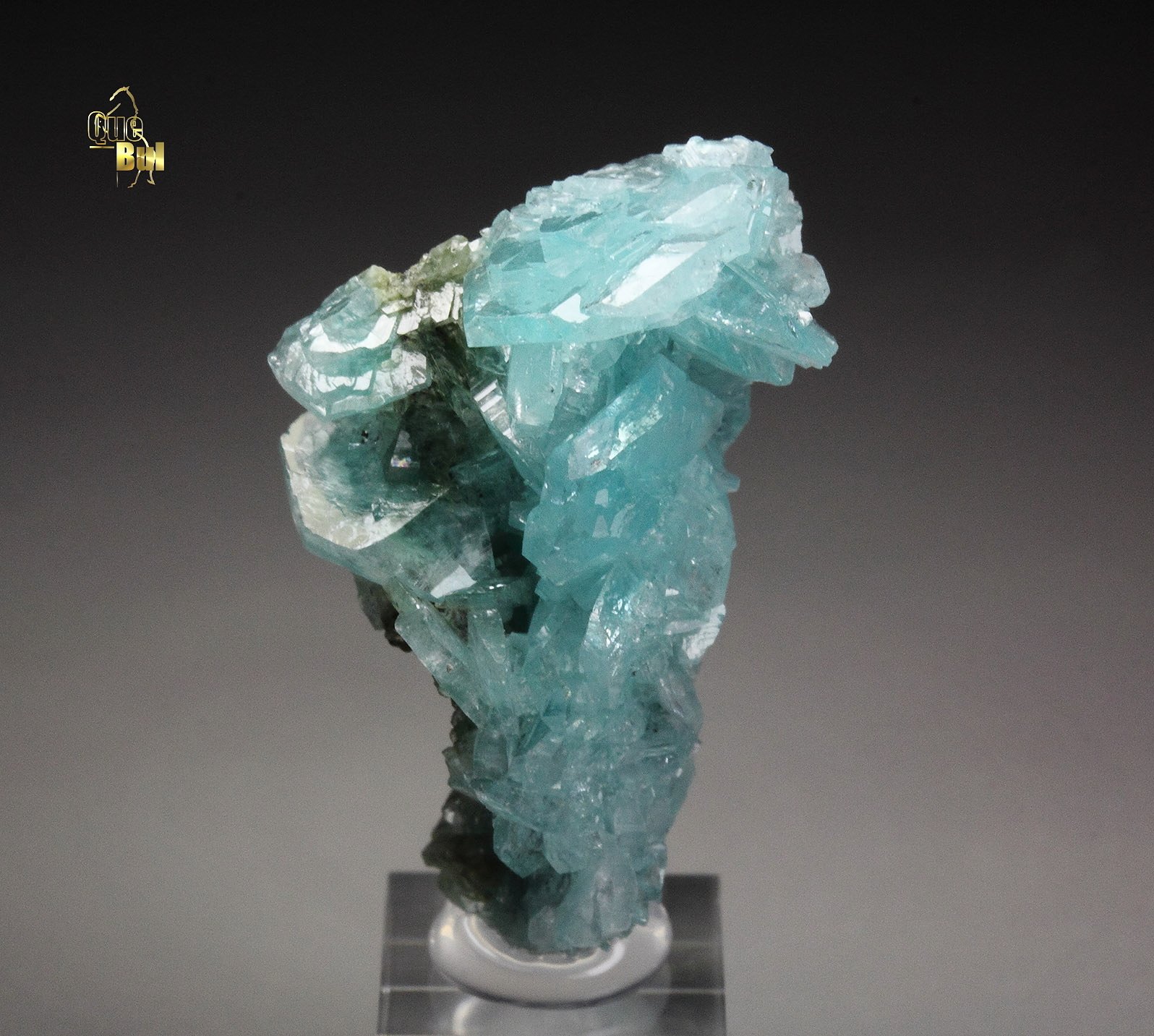 gem BORCARITE