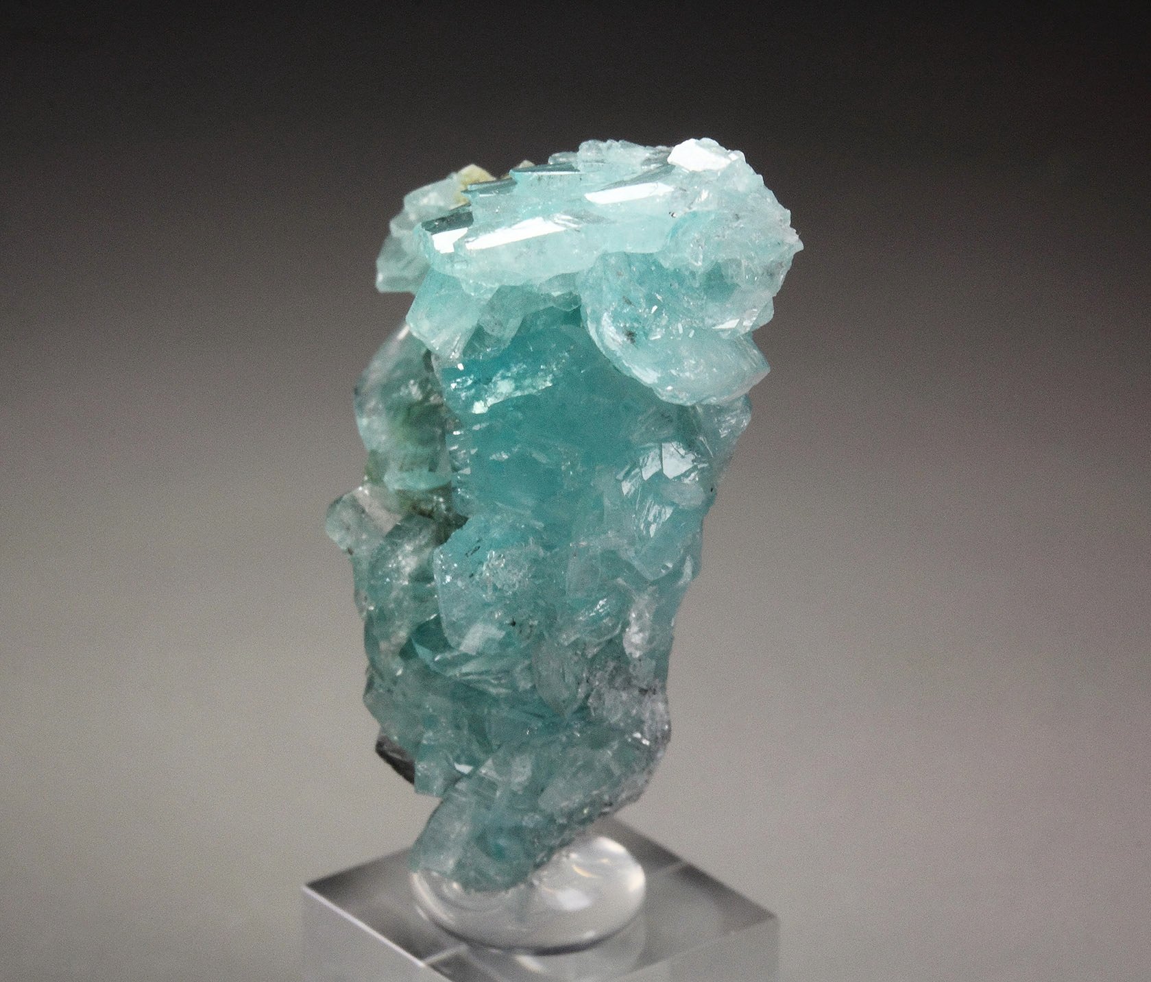 gem BORCARITE