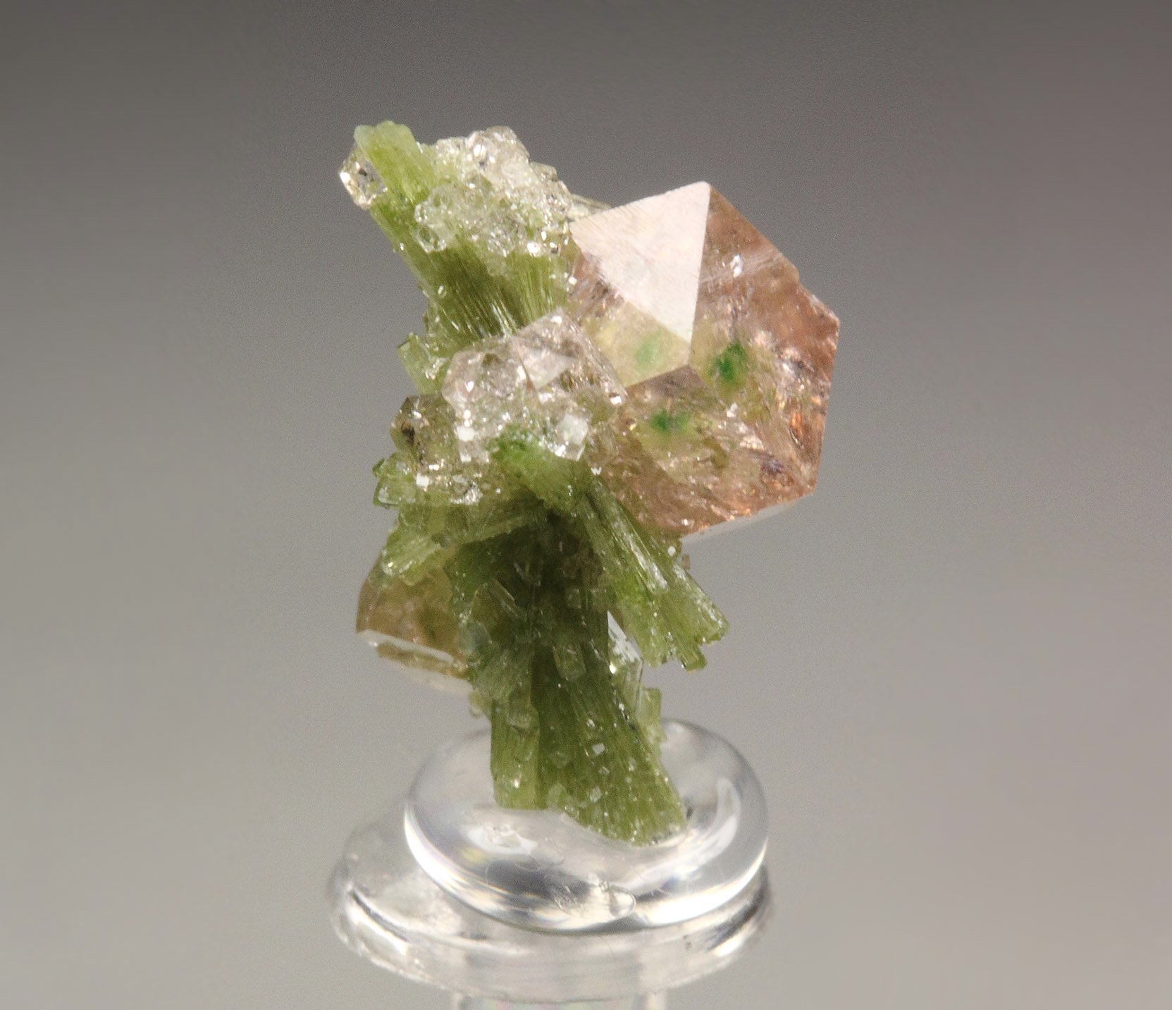gem PINK GARNET var. GROSSULAR with GREEN CHROMIAN PHANTOMS, DIOPSIDE