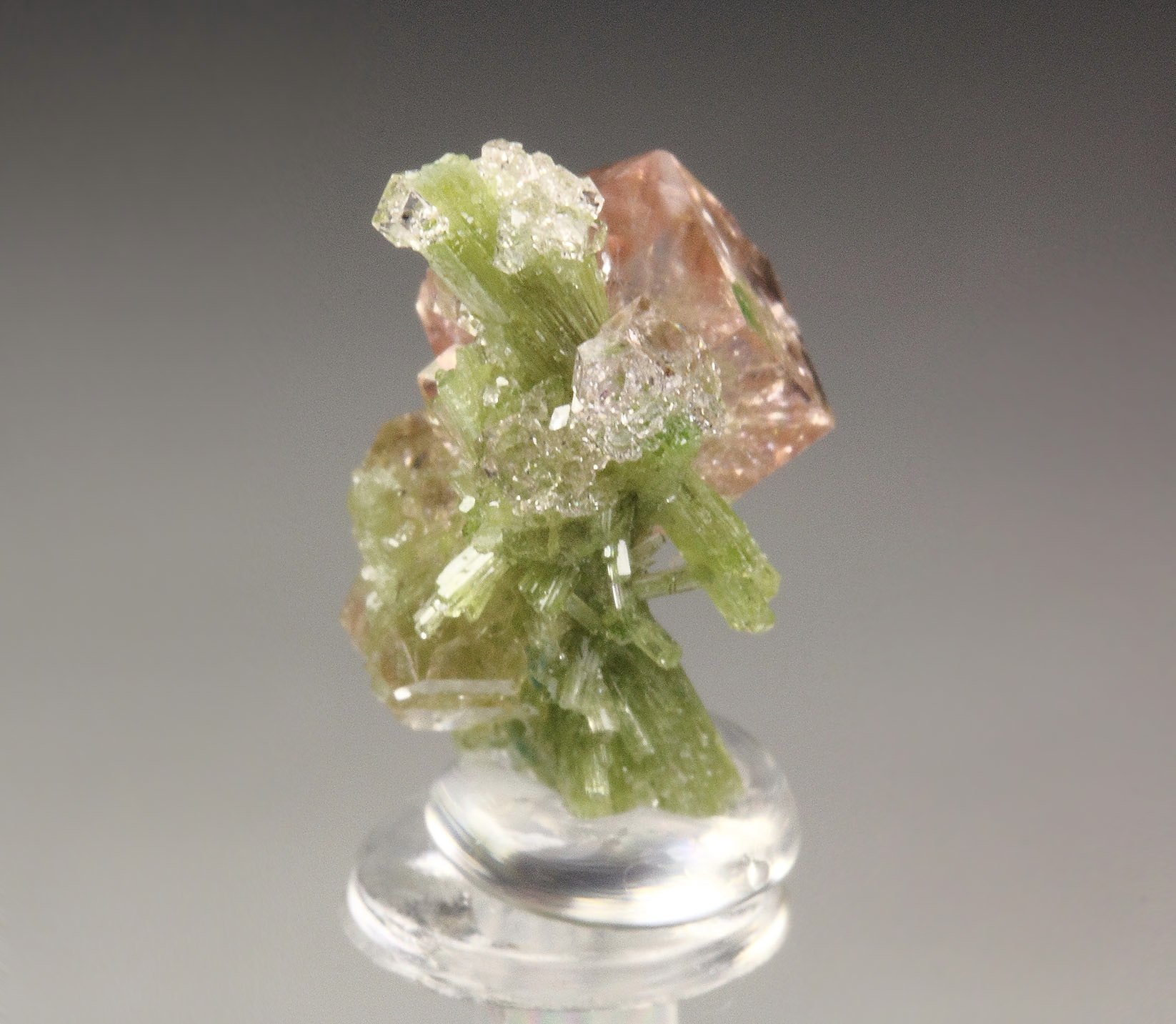gem PINK GARNET var. GROSSULAR with GREEN CHROMIAN PHANTOMS, DIOPSIDE