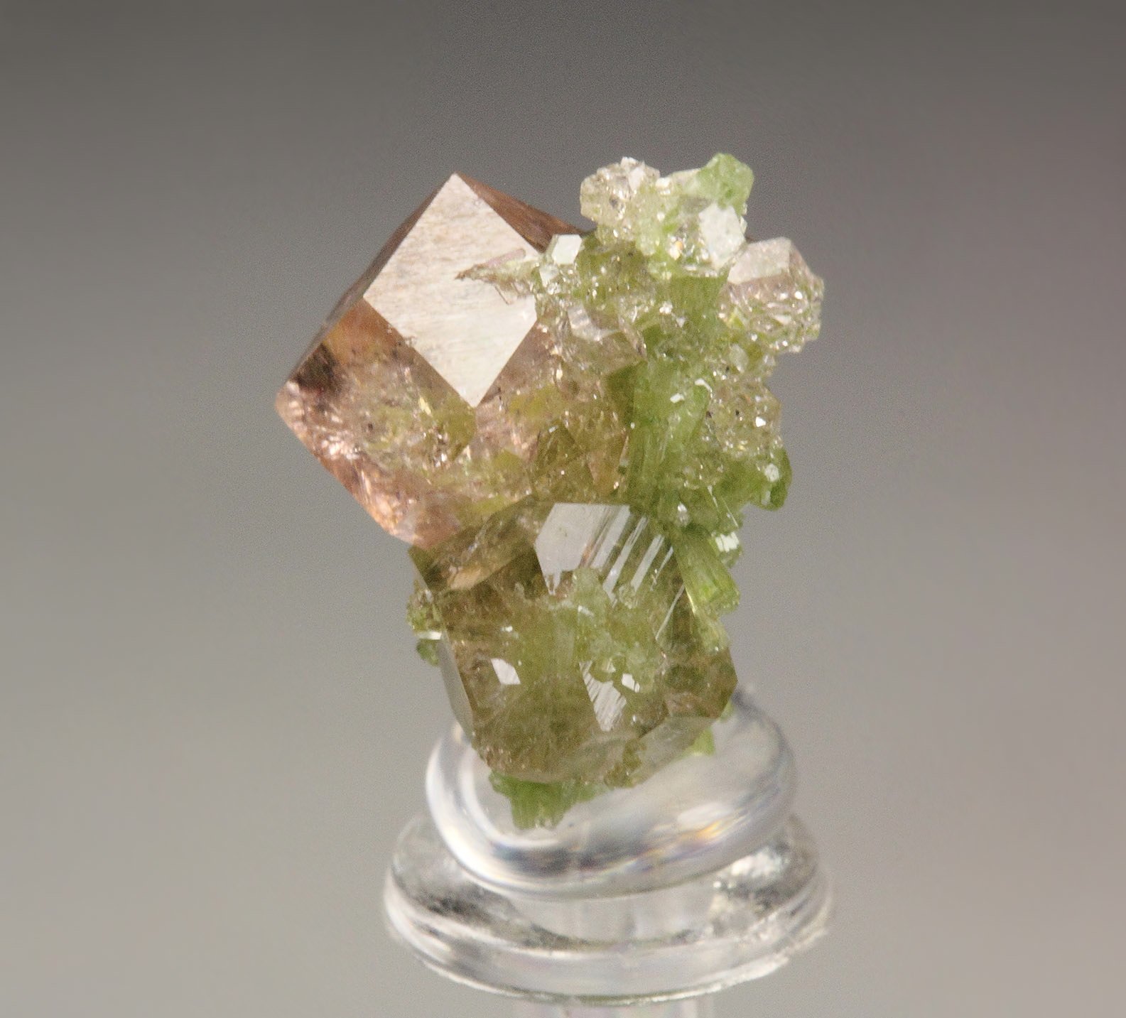 gem PINK GARNET var. GROSSULAR with GREEN CHROMIAN PHANTOMS, DIOPSIDE