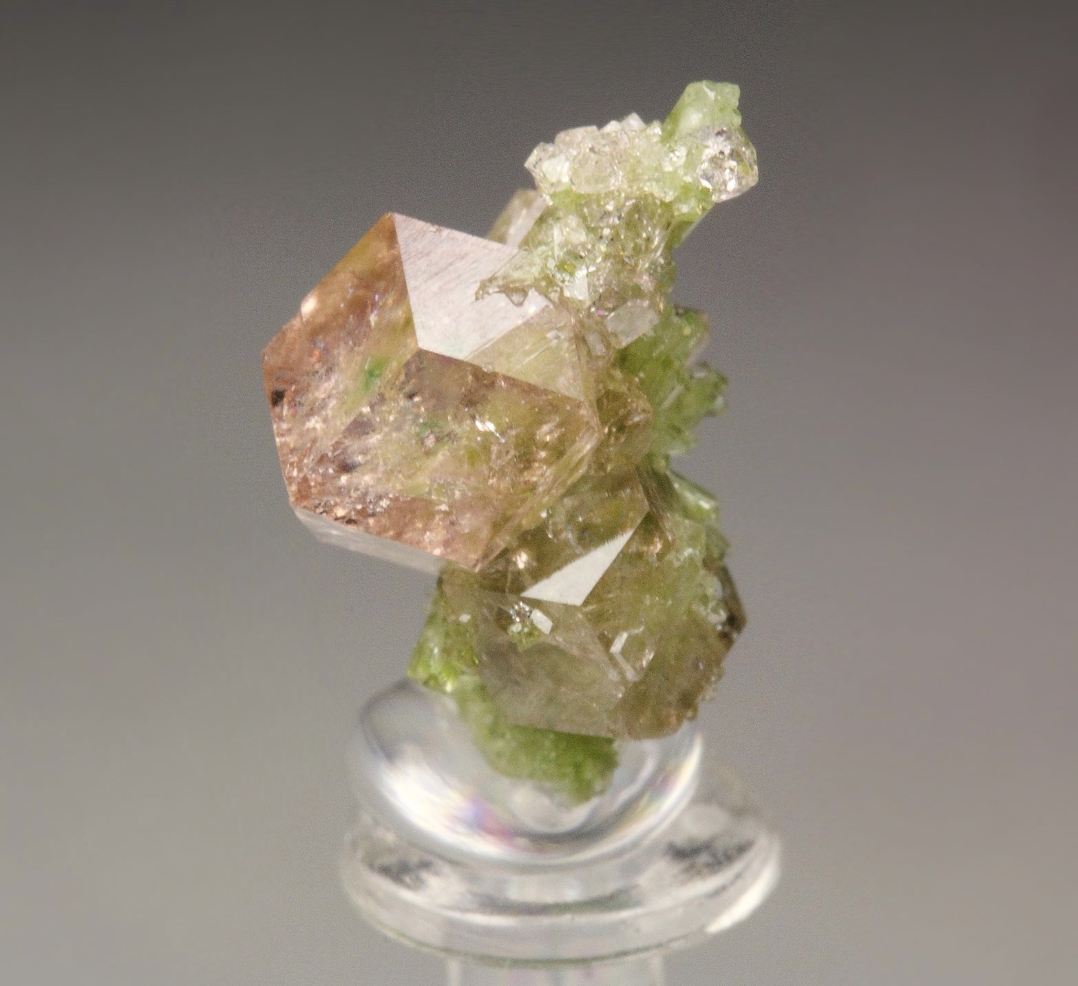 gem PINK GARNET var. GROSSULAR with GREEN CHROMIAN PHANTOMS, DIOPSIDE