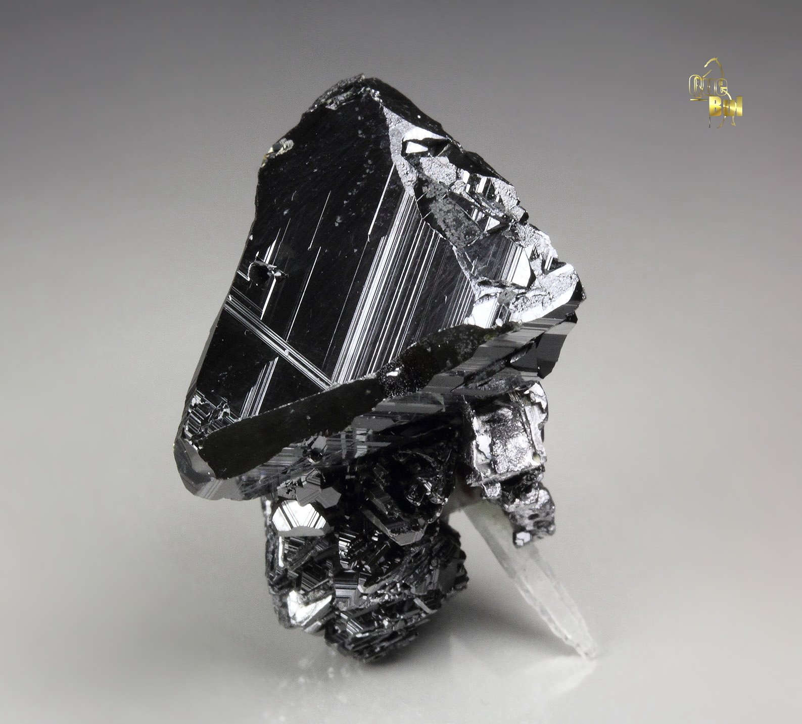 SPHALERITE, CHALCOPYRITE, GALENA, QUARTZ