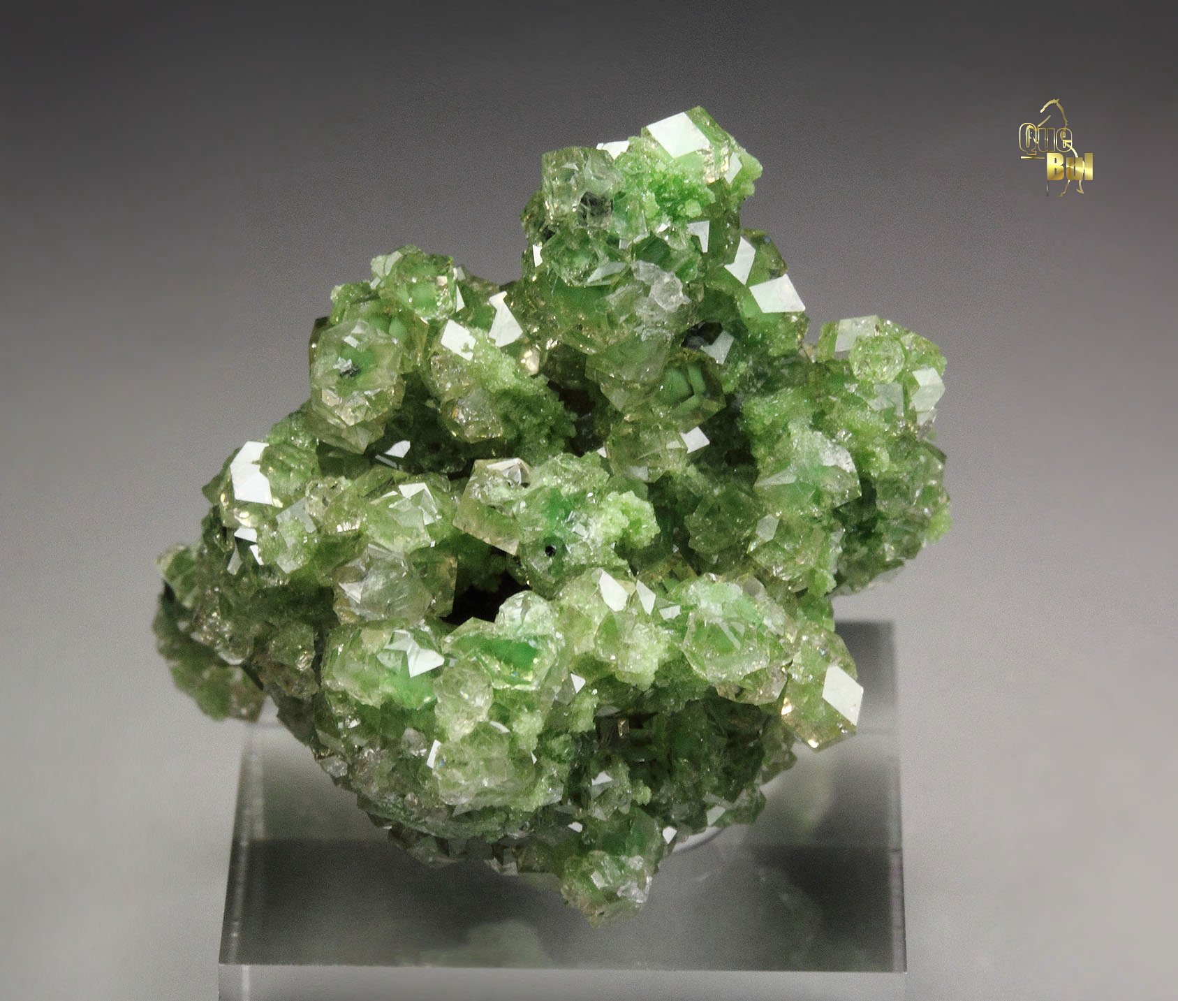 gem GARNET var. GROSSULAR with GREEN CHROMIAN PHANTOMS